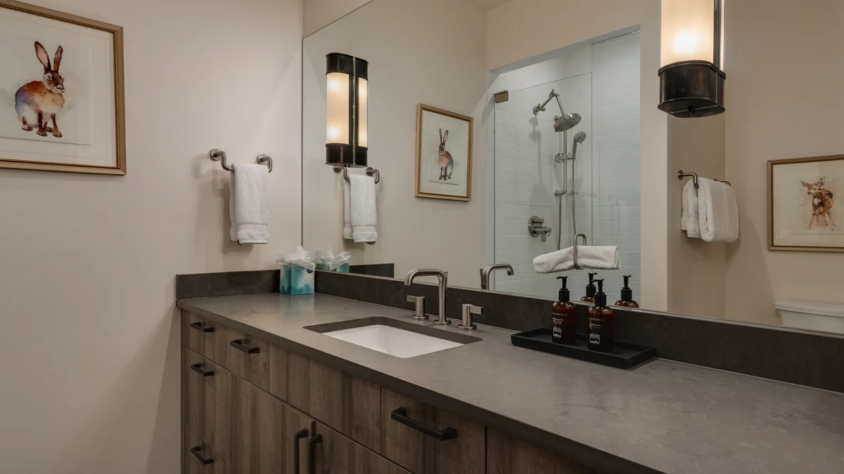 Wander Steamboat Palomino