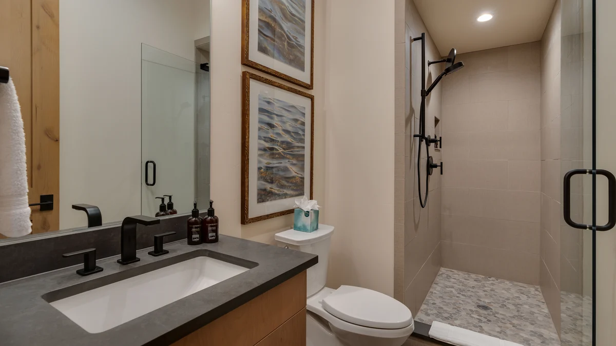 Wander Steamboat Palomino