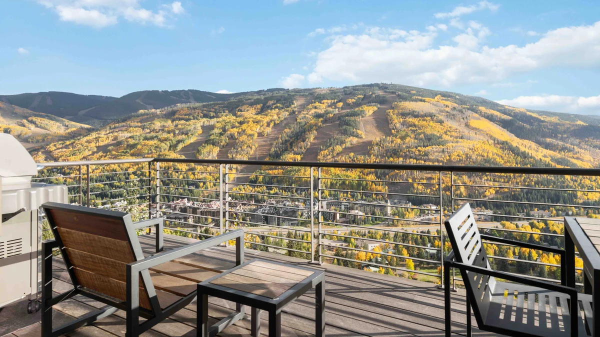 Wander Vail Forest View