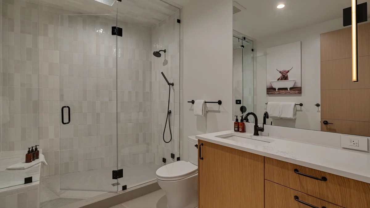 Wander Steamboat Andalusian