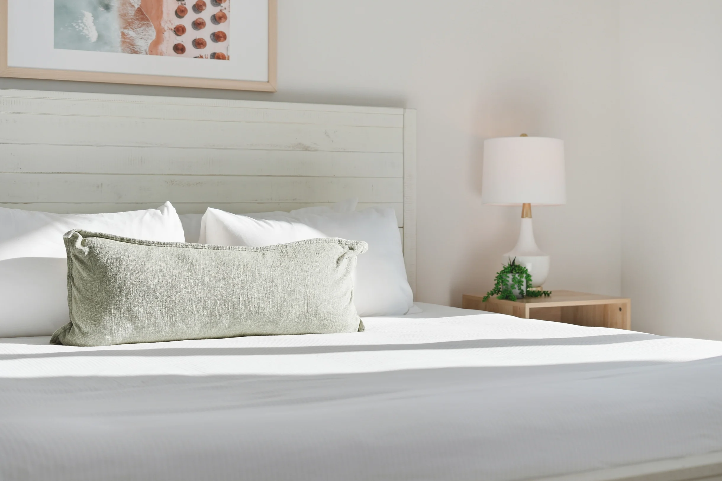 Wander Panama Shores #79