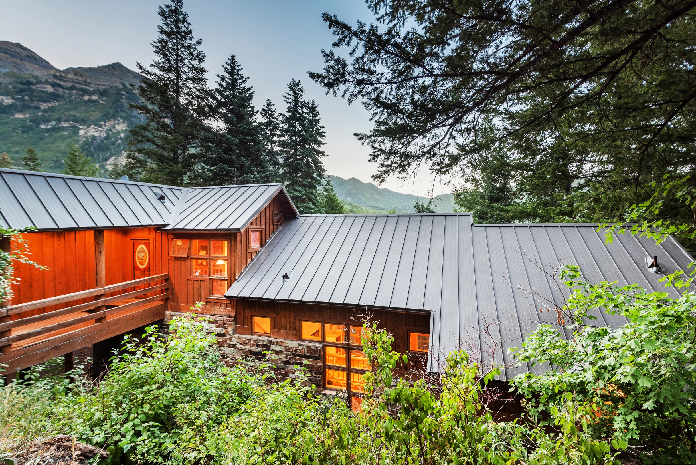 Wander Sundance Black Forest