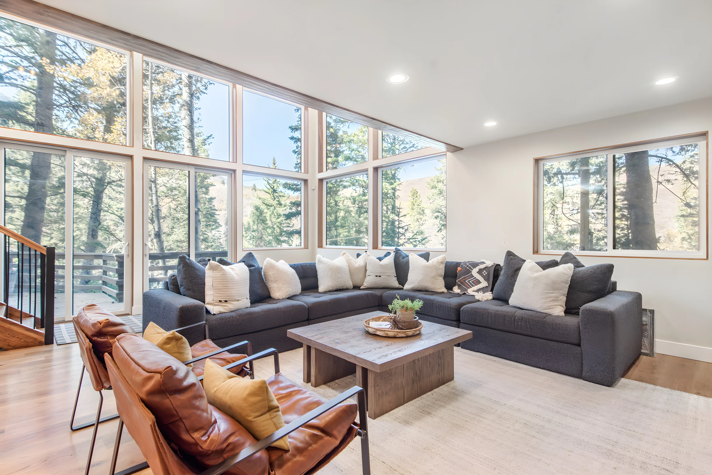 Mountain Modern #23