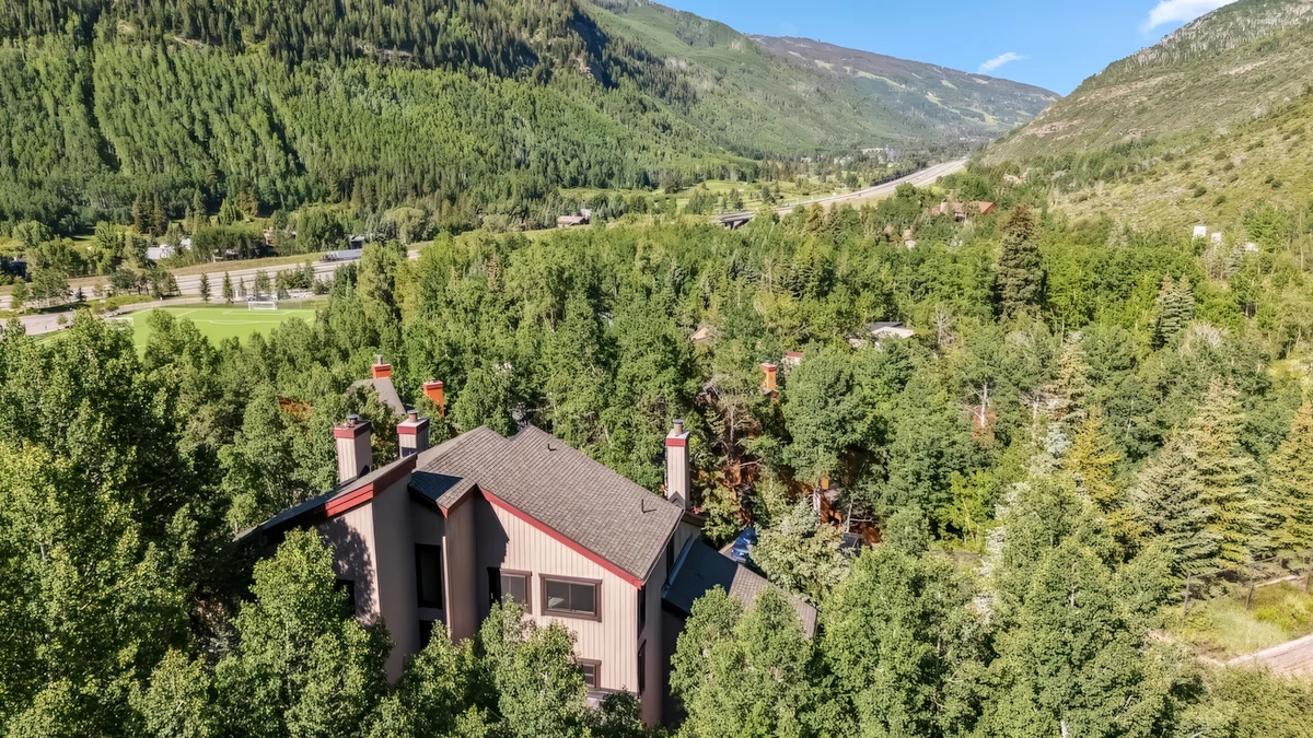 Wander Vail Vista #5