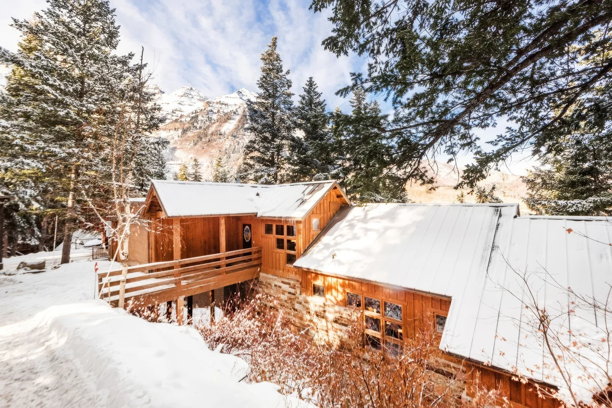 Wander Sundance Black Forest