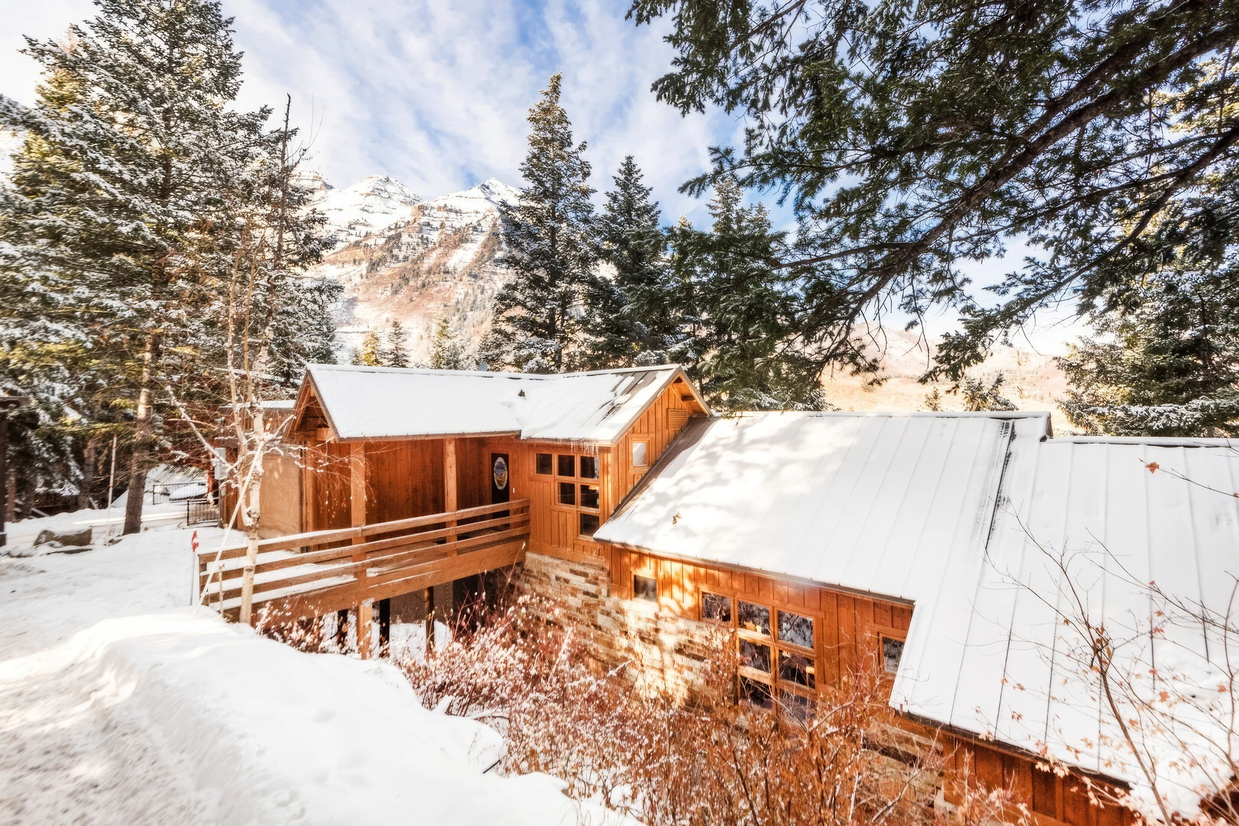 Wander Sundance Black Forest #5