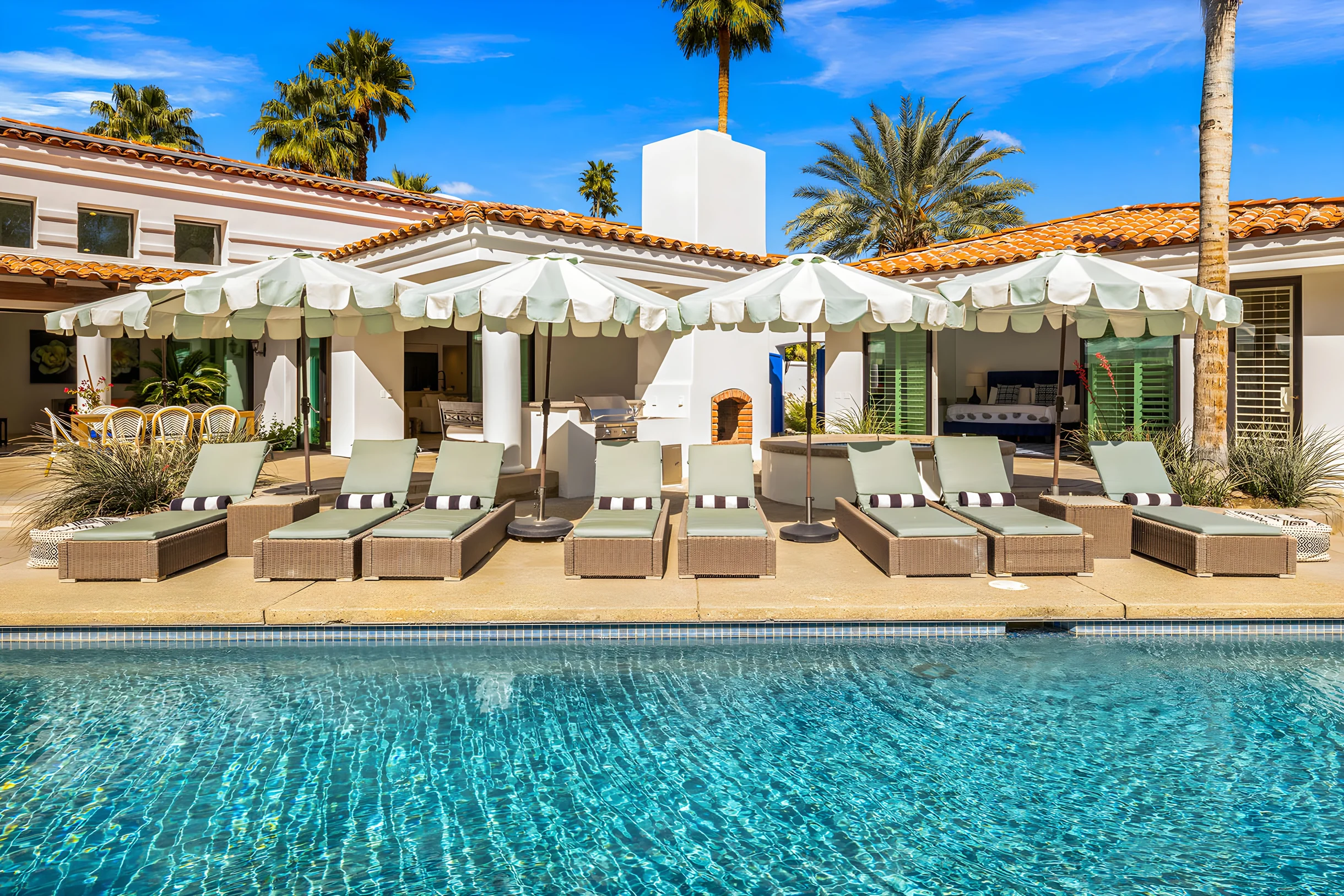 Wander Palm Springs Cactus