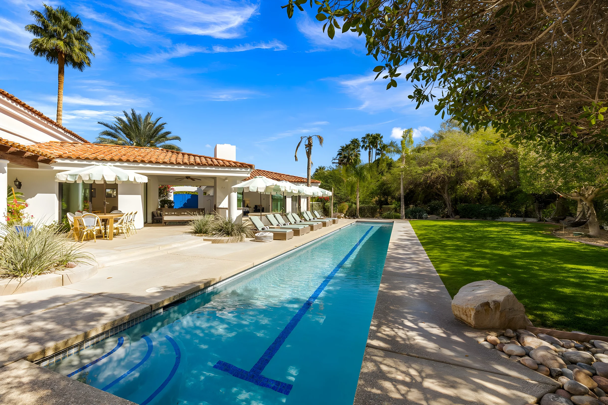 Wander Palm Springs Cactus #86