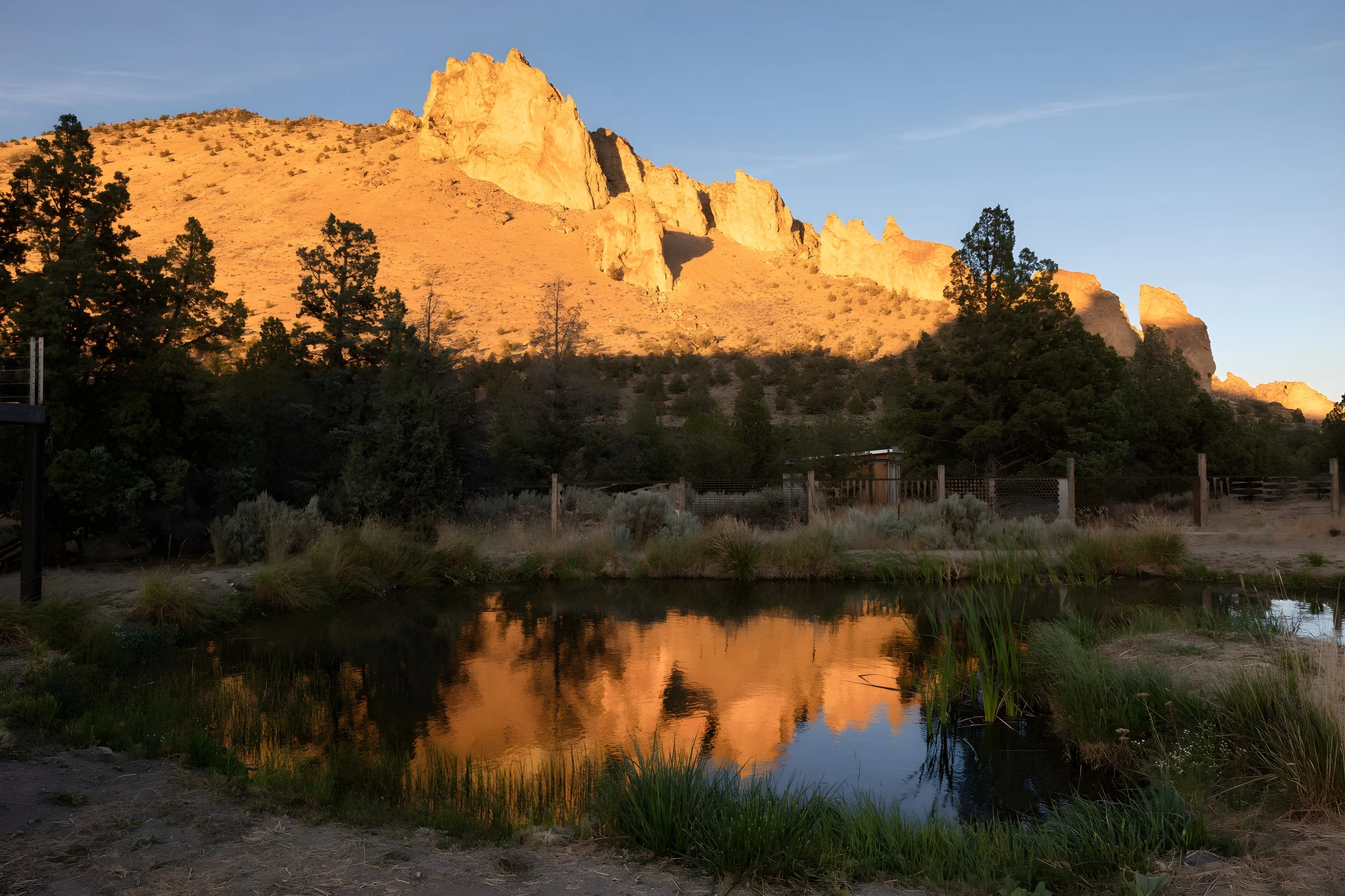 Wander Terrebonne Stars #26