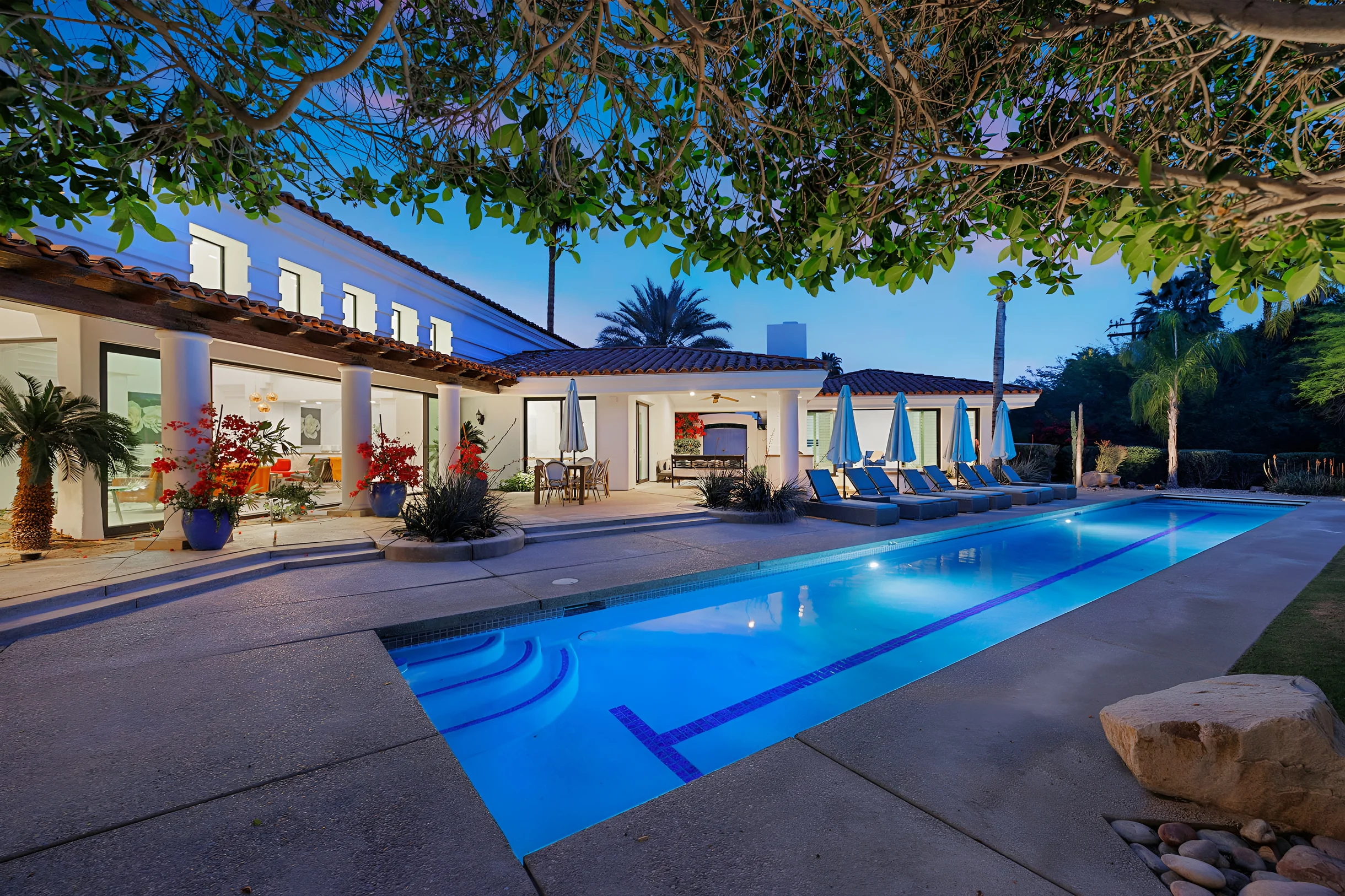 Wander Palm Springs Cactus #2