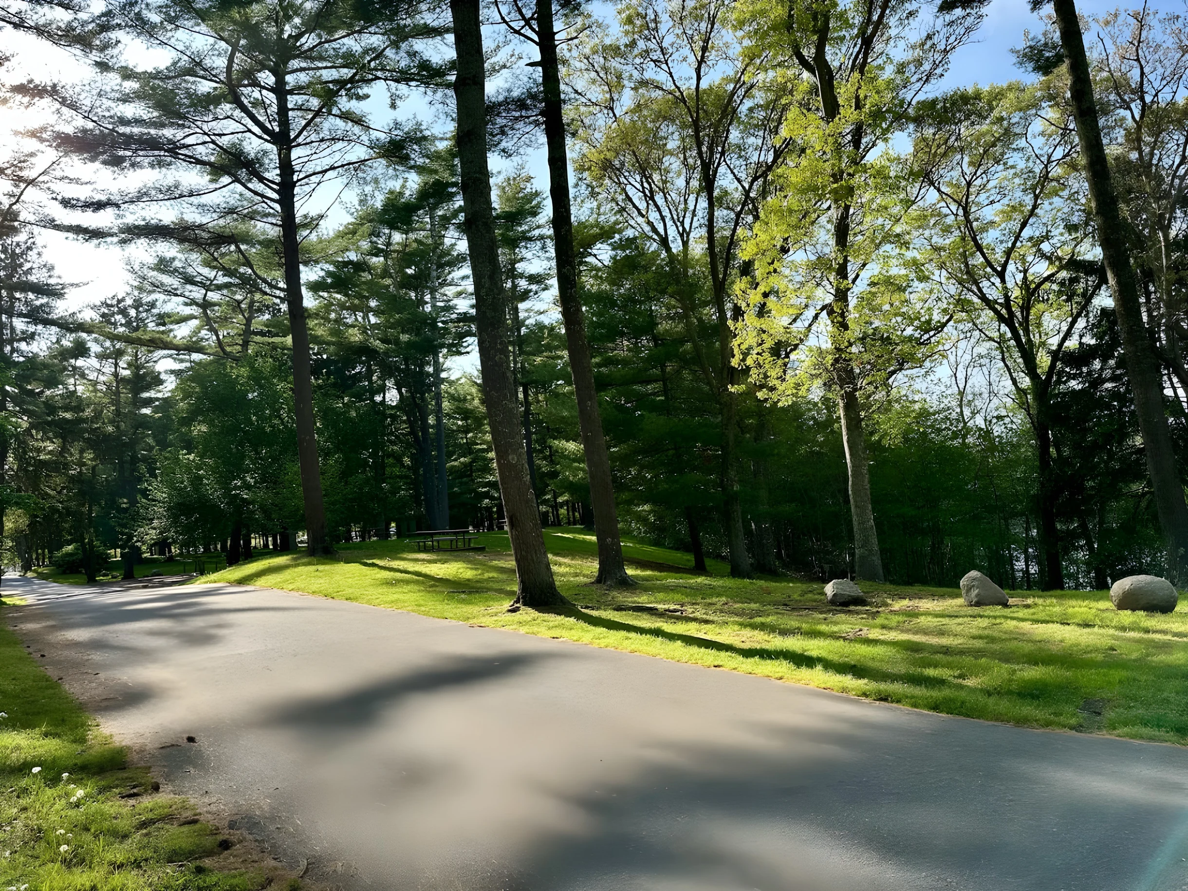 Cape Forty Six: A Serene Getaway in Falmouth #19
