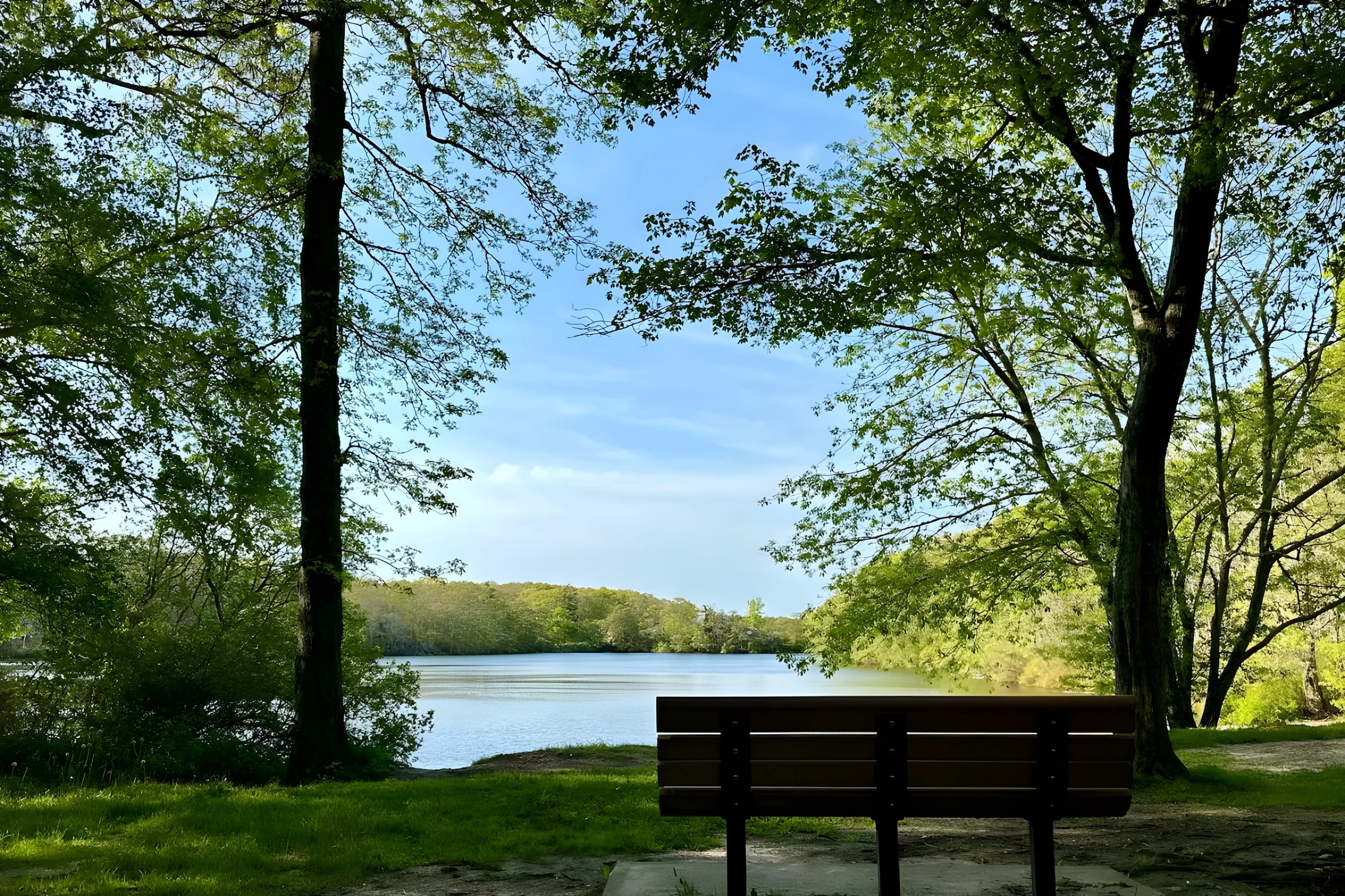 Cape Forty Six: A Serene Getaway in Falmouth #48