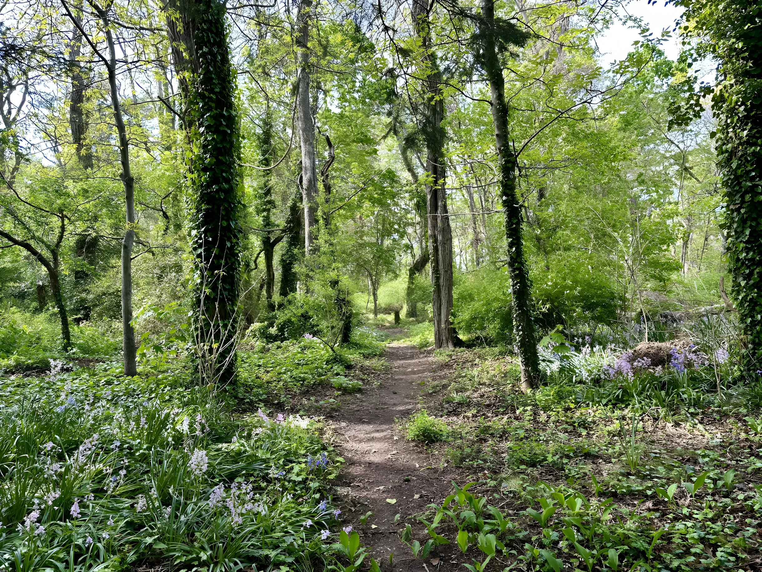 Cape Forty Six: A Serene Getaway in Falmouth #9