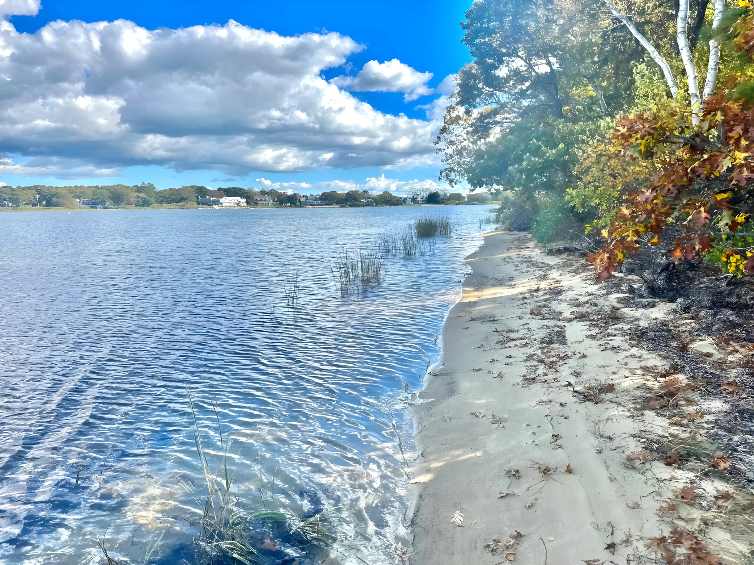 As Good as it Gets-Waterfront Retreat in Falmouth #7