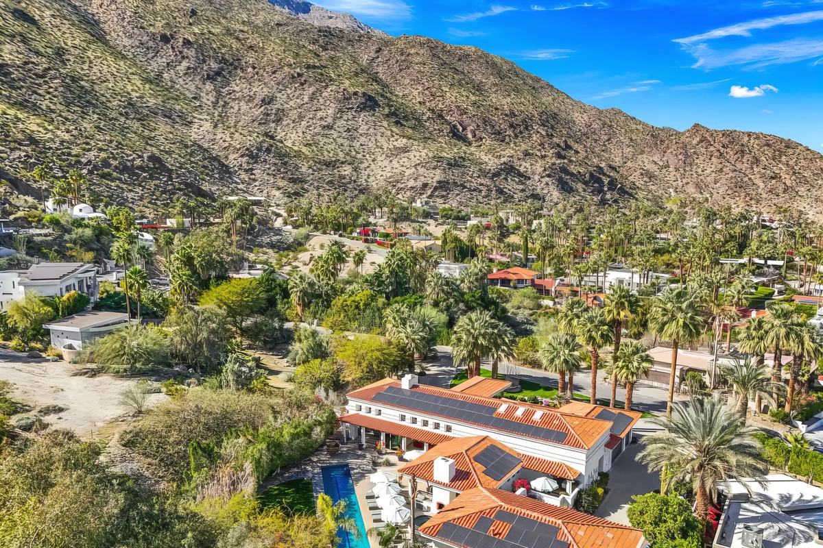 Wander Palm Springs Cactus