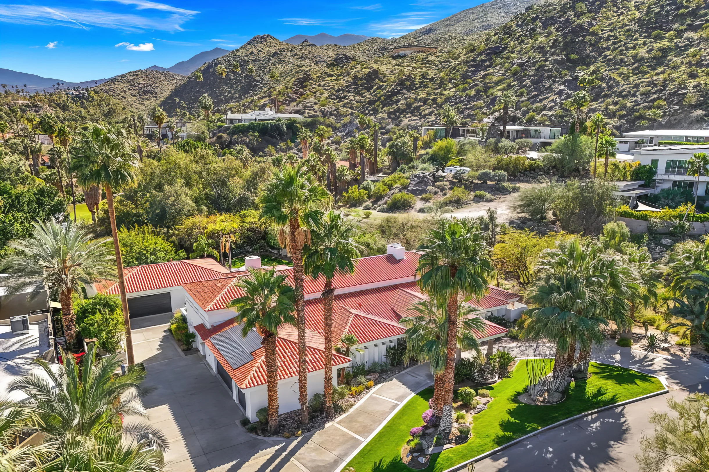 Wander Palm Springs Cactus #5