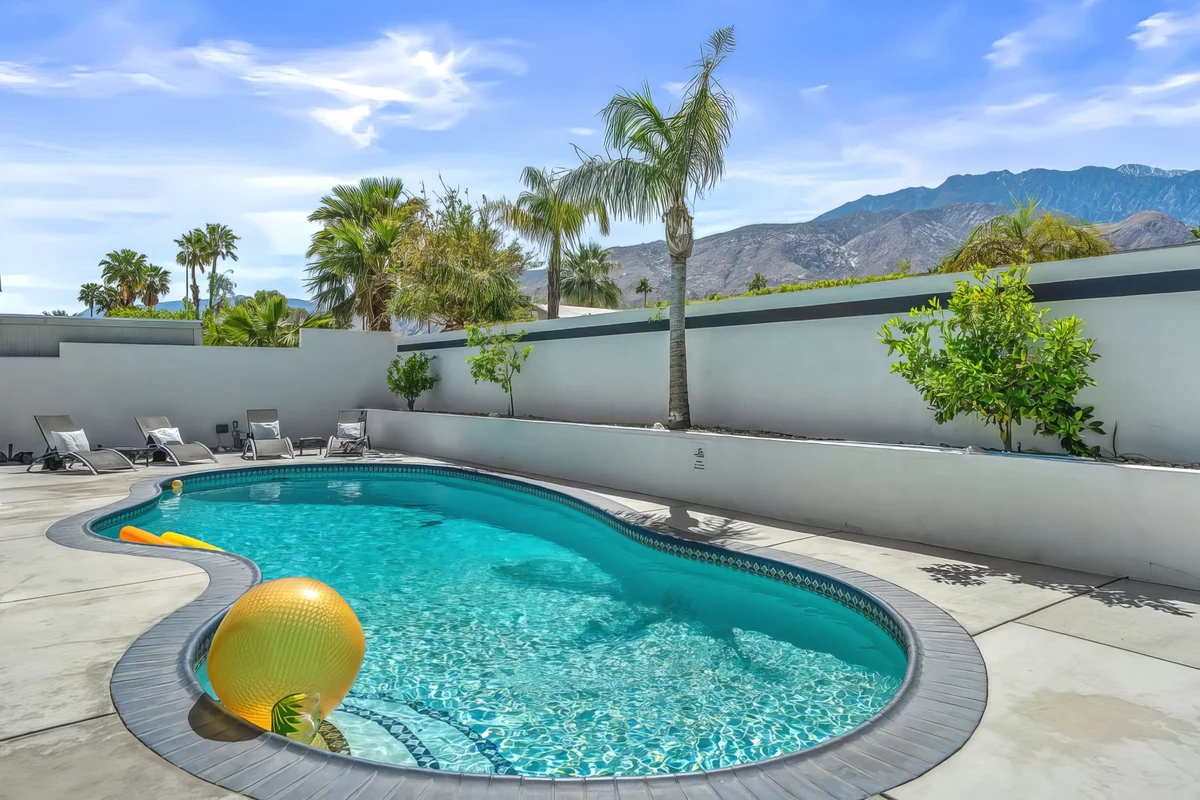 Wander Palm Allure #5