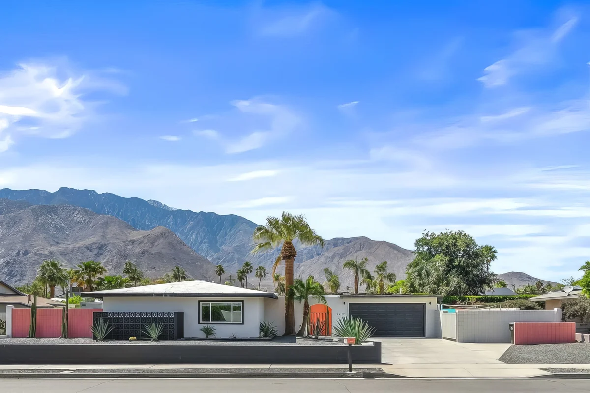 Wander Palm Allure #4