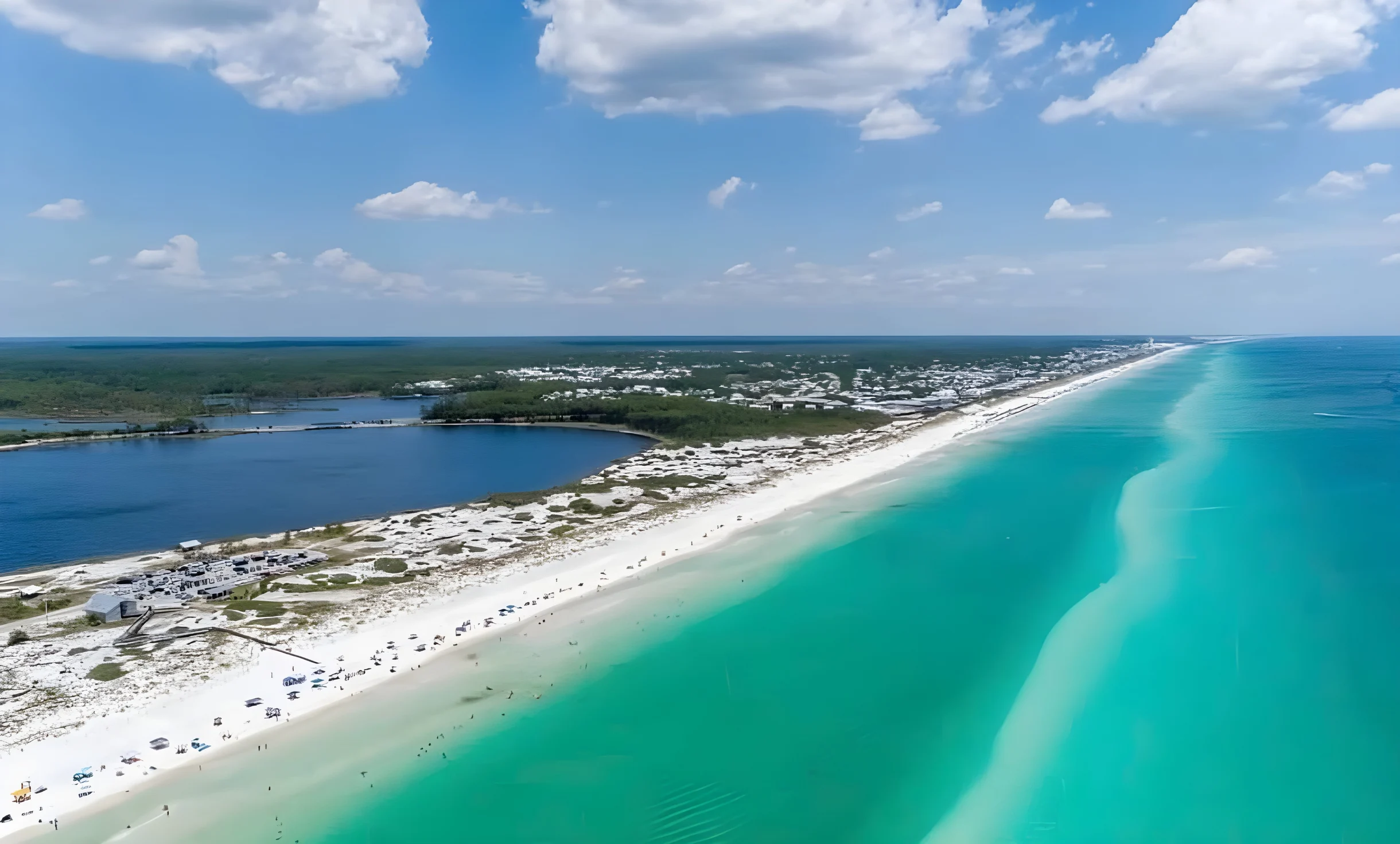 Wander Santa Rosa Woods #32