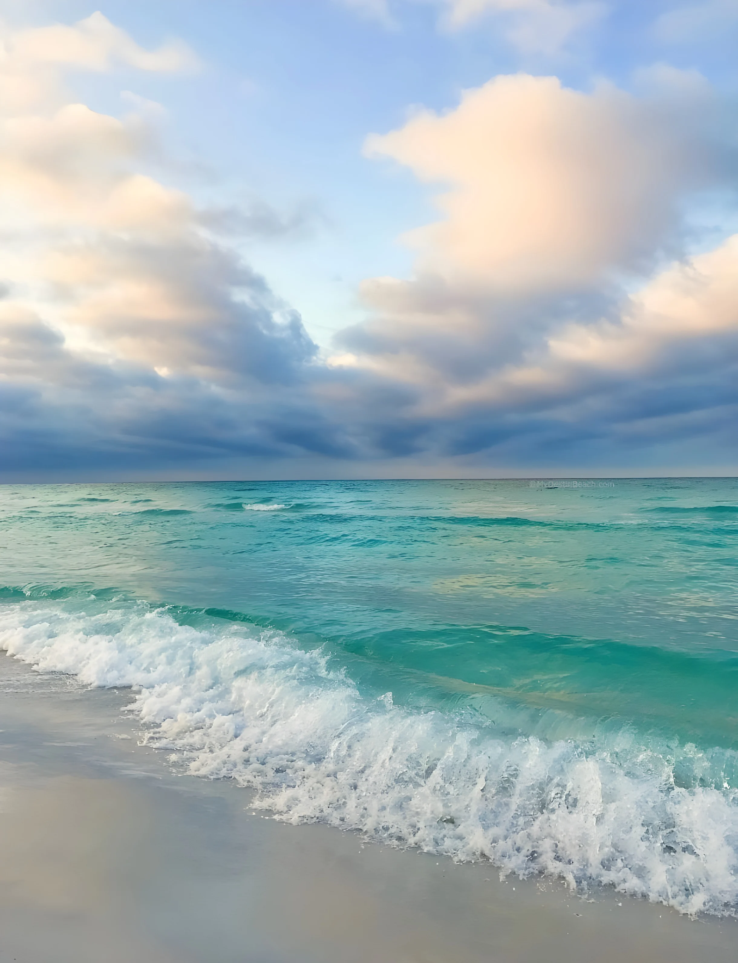 Wander Santa Rosa Woods