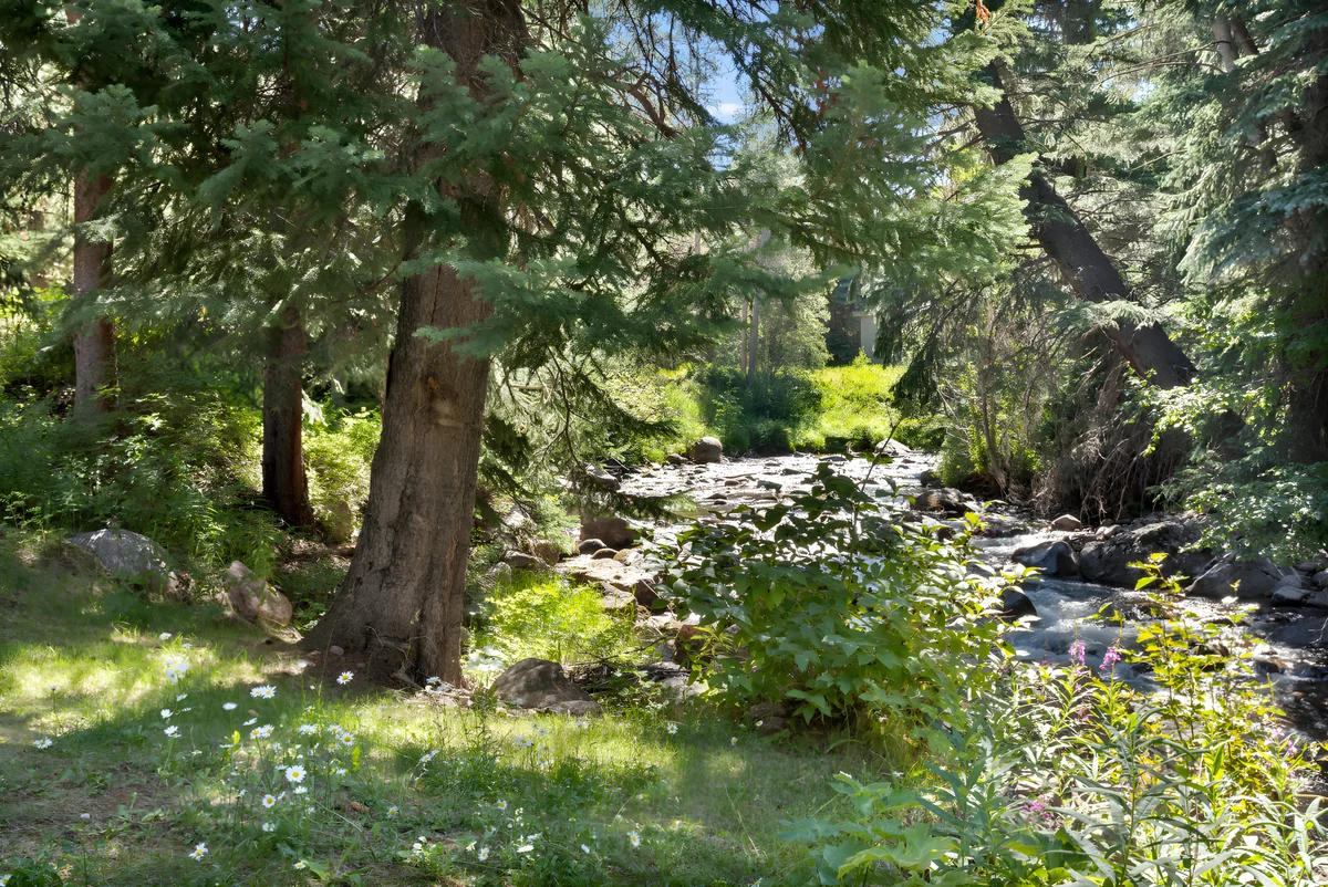 Home in Vail property photo 4