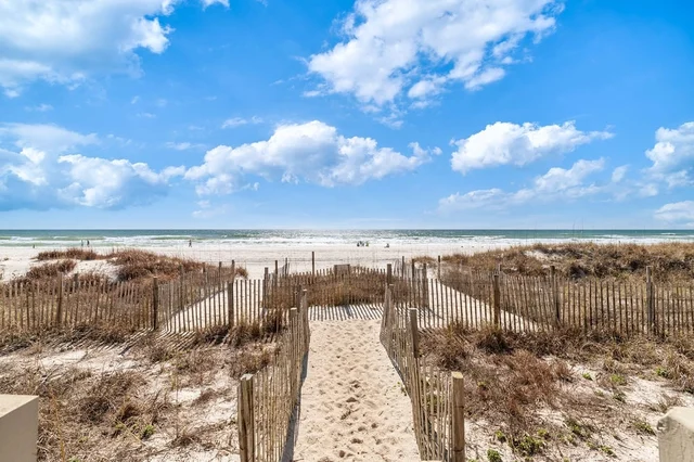Wander Panama City Beach Waves #111