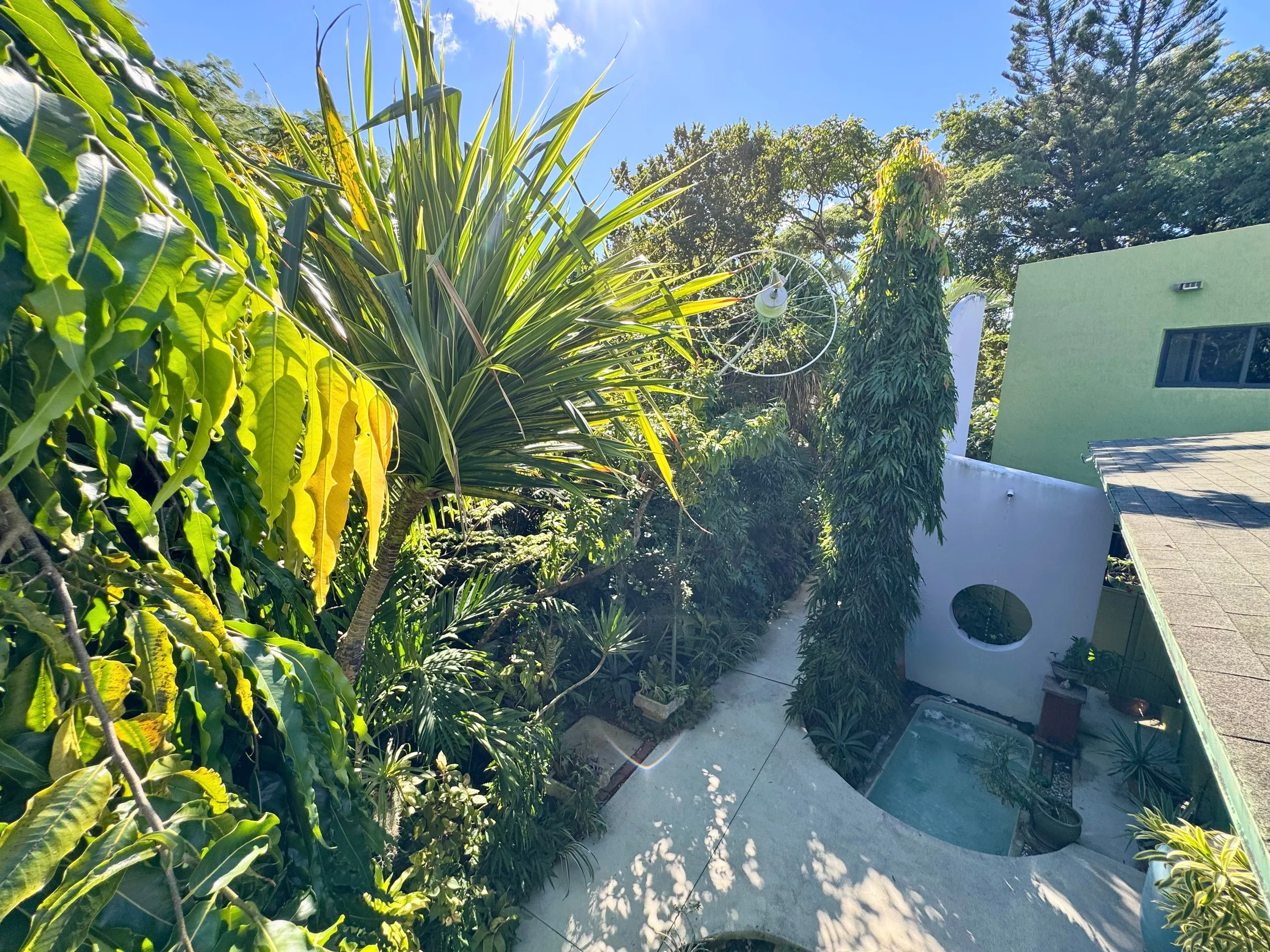 Wander Wilton Waters #7