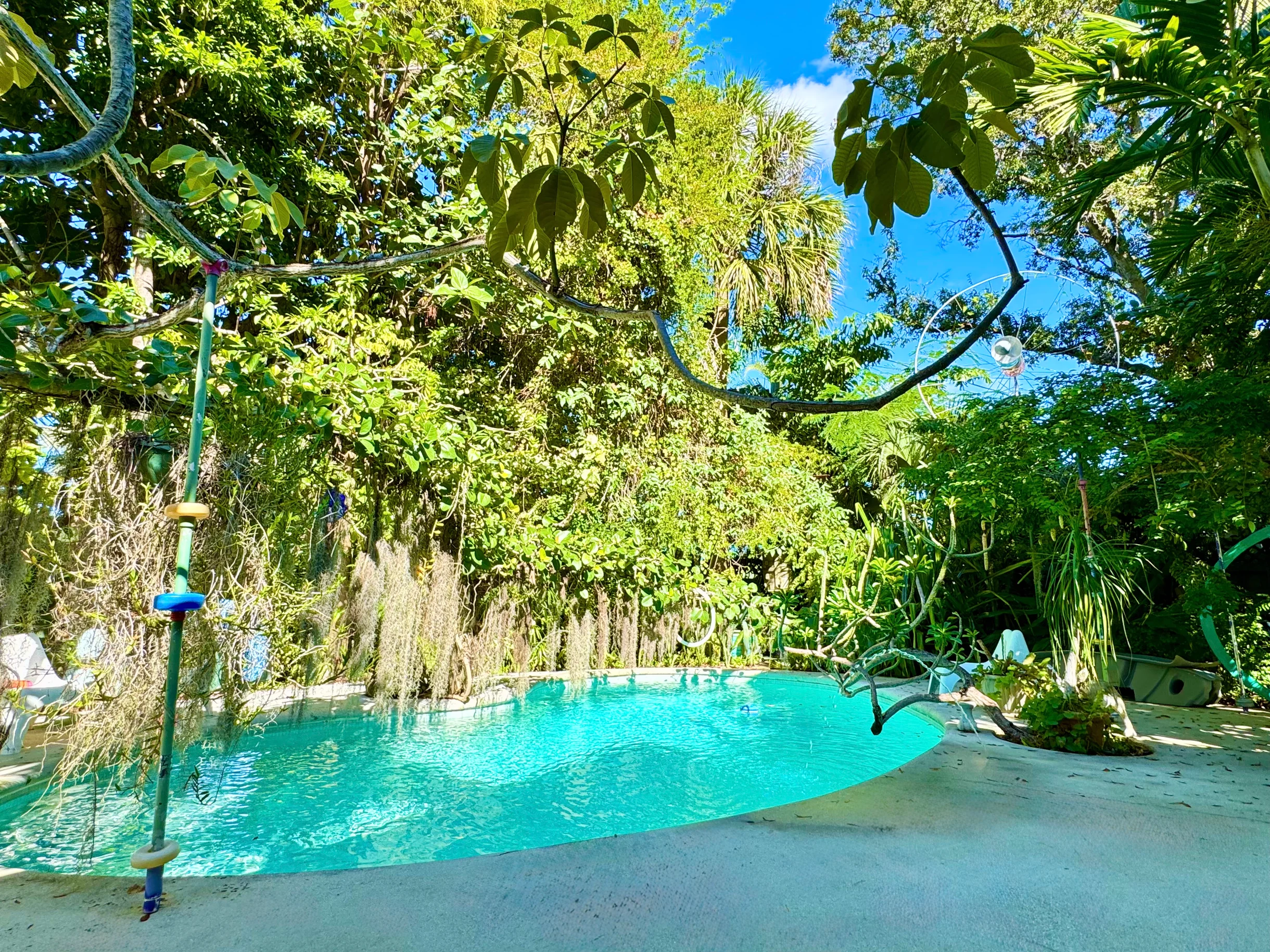 Wander Wilton Waters #4