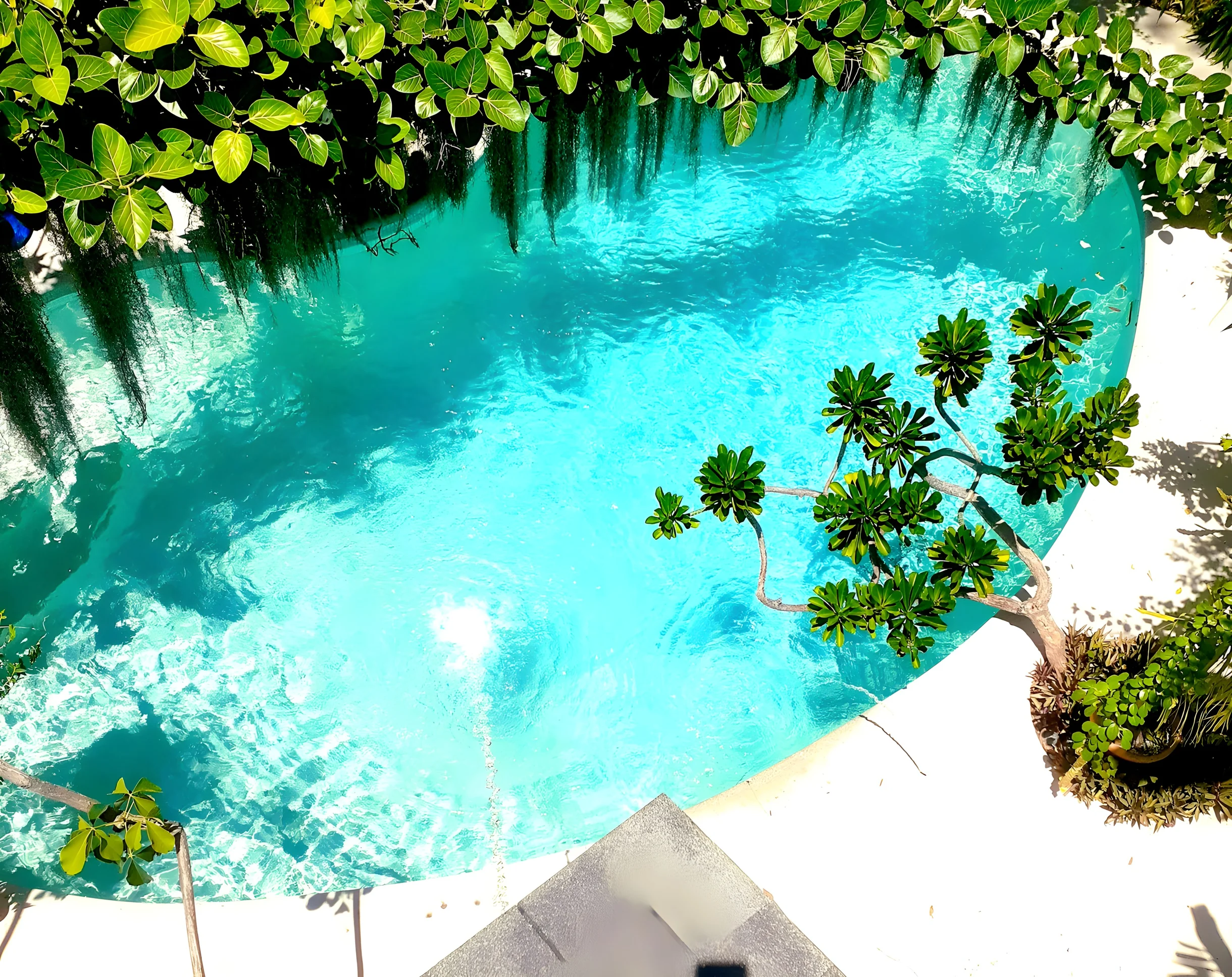 Wander Wilton Waters #51