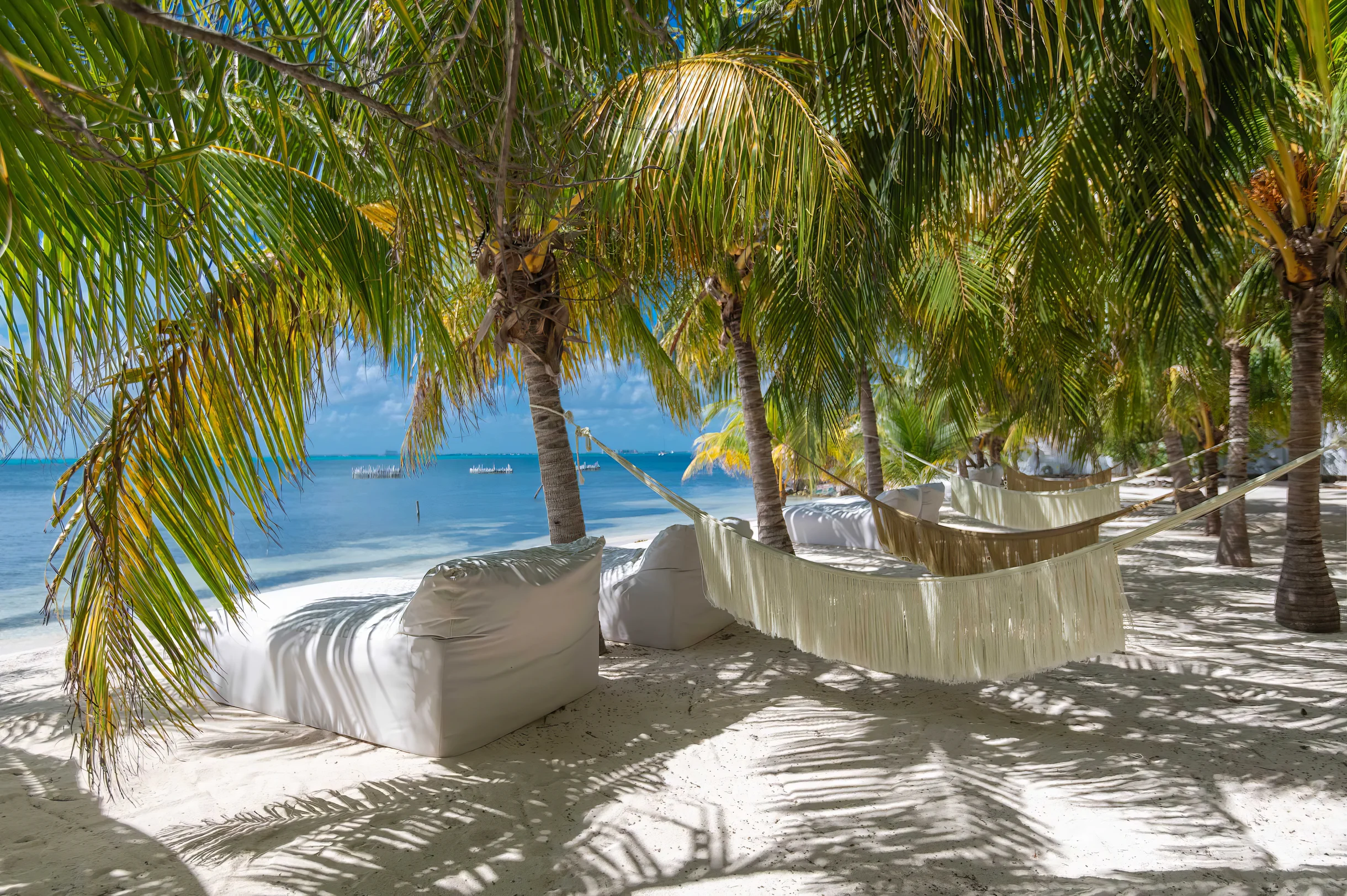 Wander Isla Mujeres Palms #37