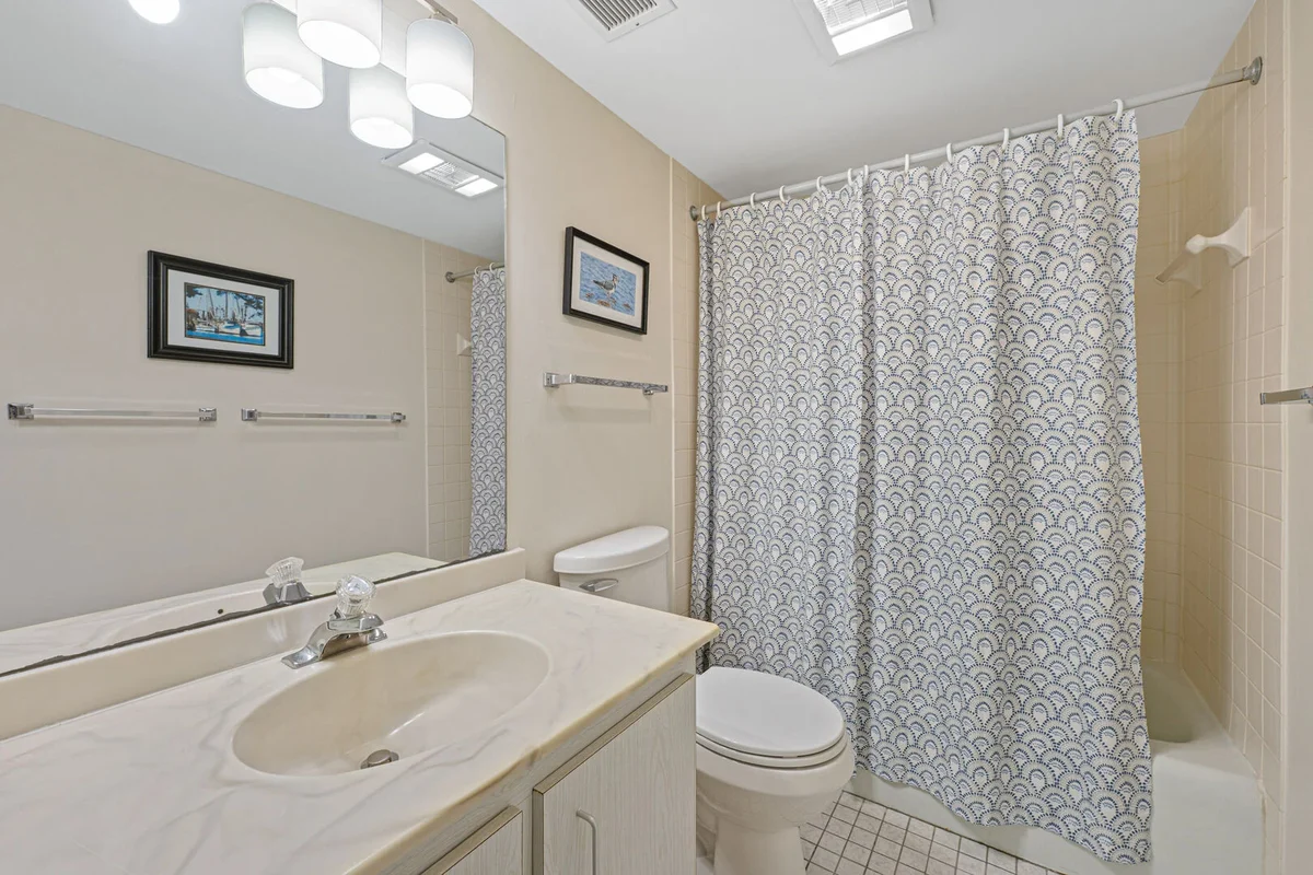 Wander Folly Field Palms