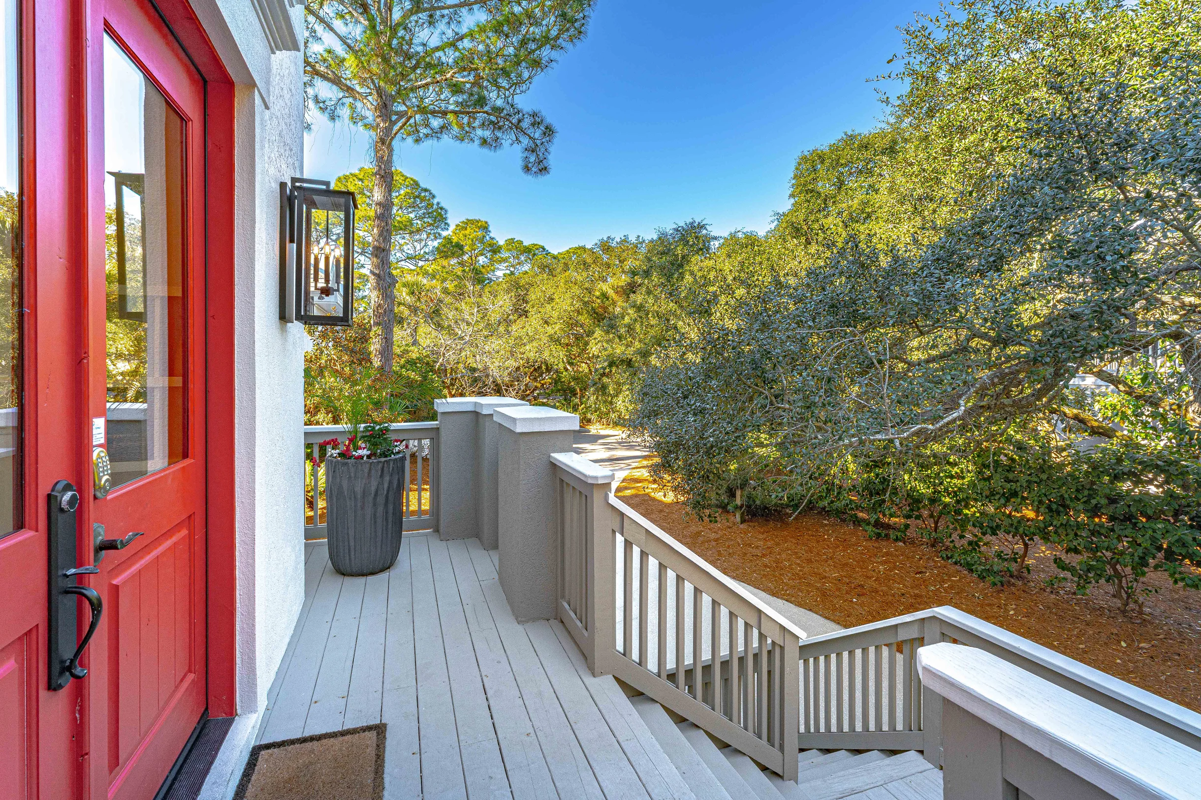 Wander Hilton Head Magnolia #8