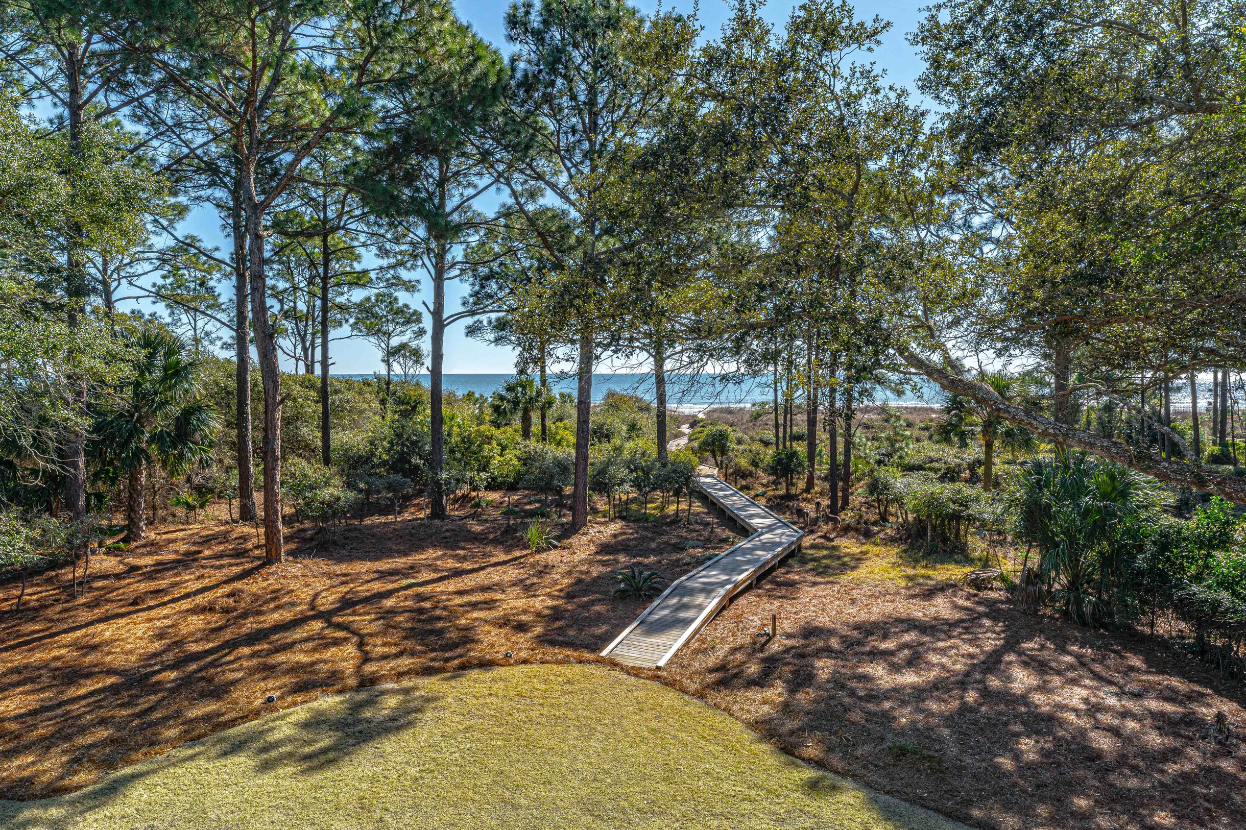 Wander Hilton Head Magnolia #64