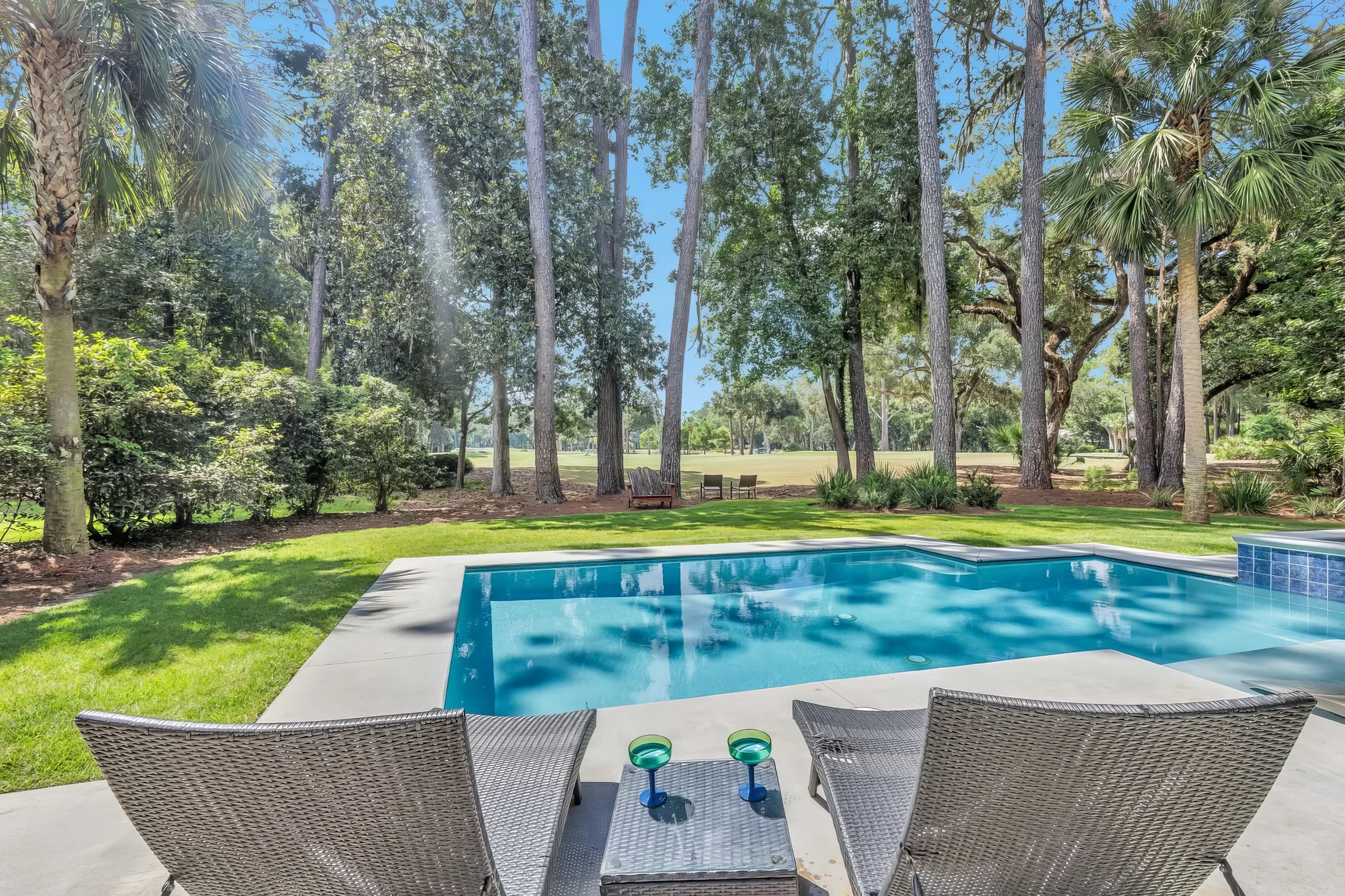 10 Willow Oak #20