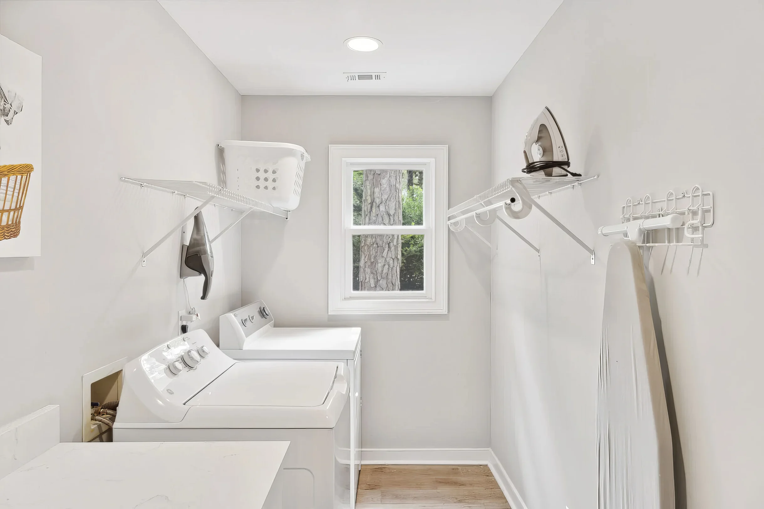 10 Willow Oak #13