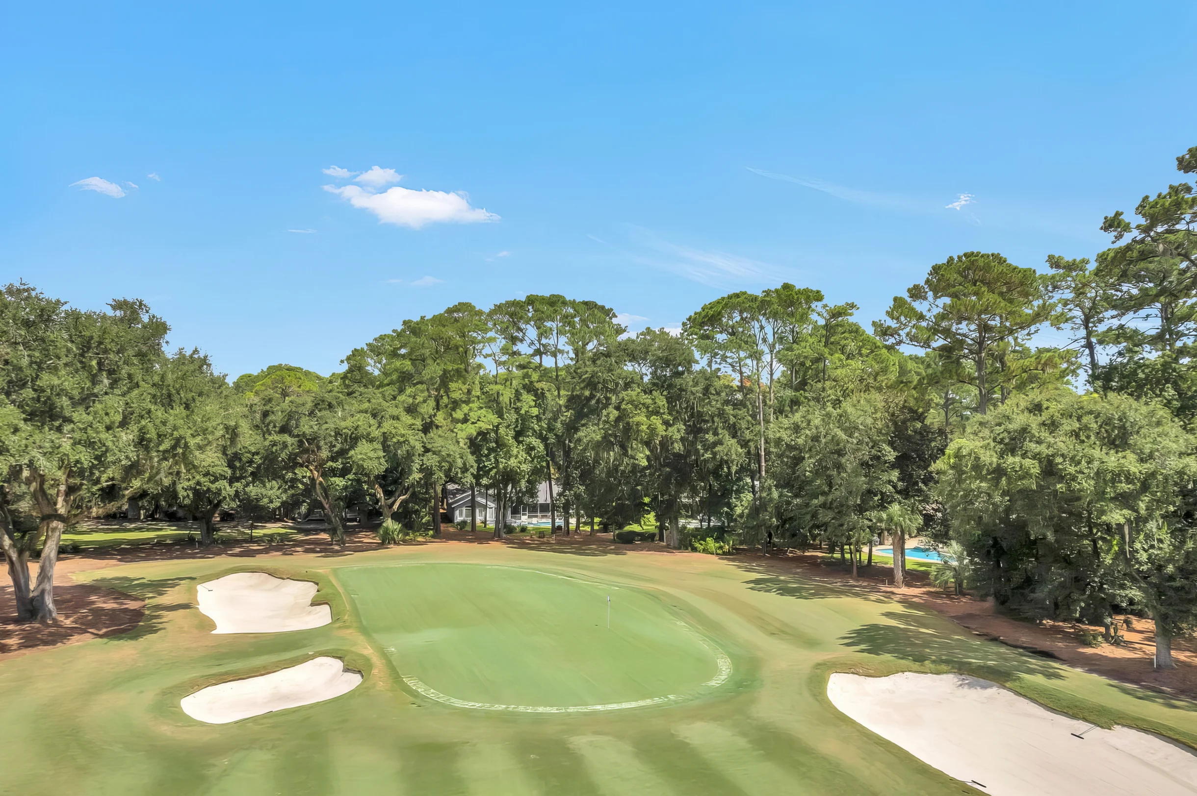 10 Willow Oak #35