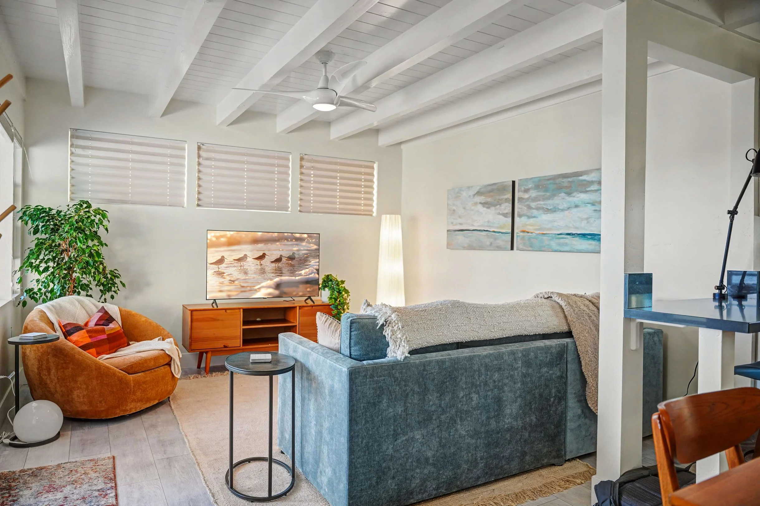 Wander Mission Beach Boardwalk #37