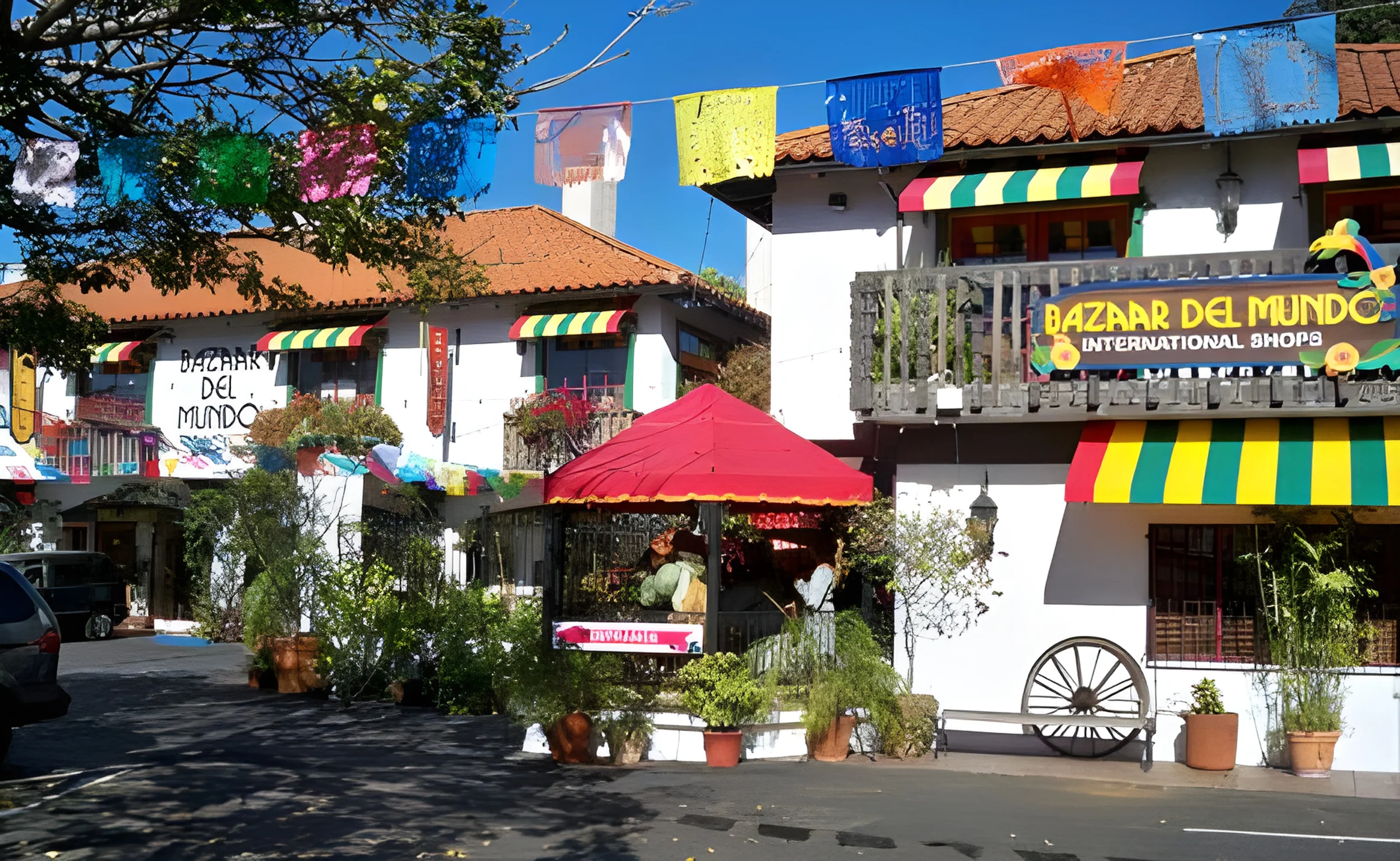 Wander Sunset Cliffs #28