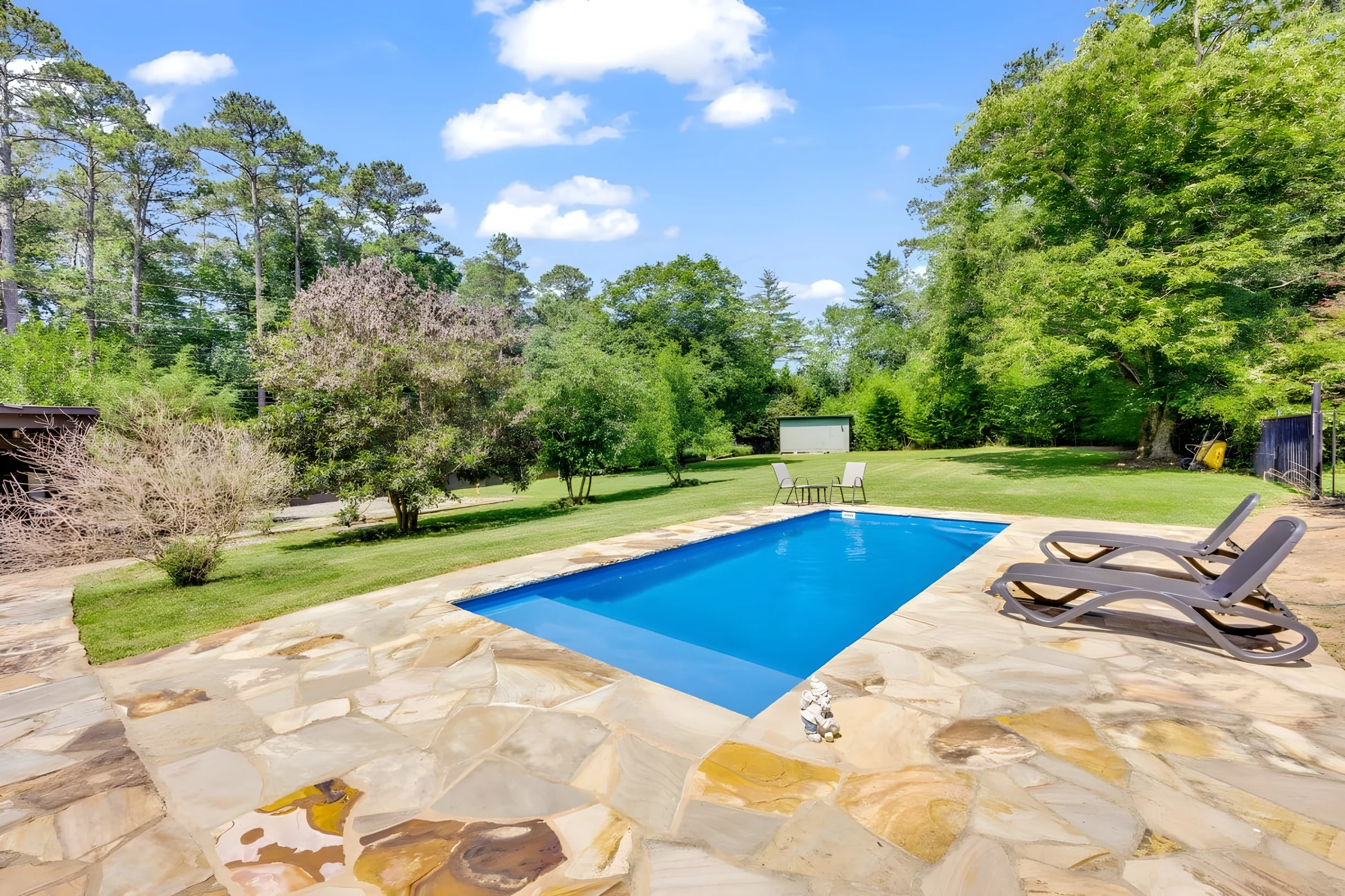 Wander Athens Woods #4