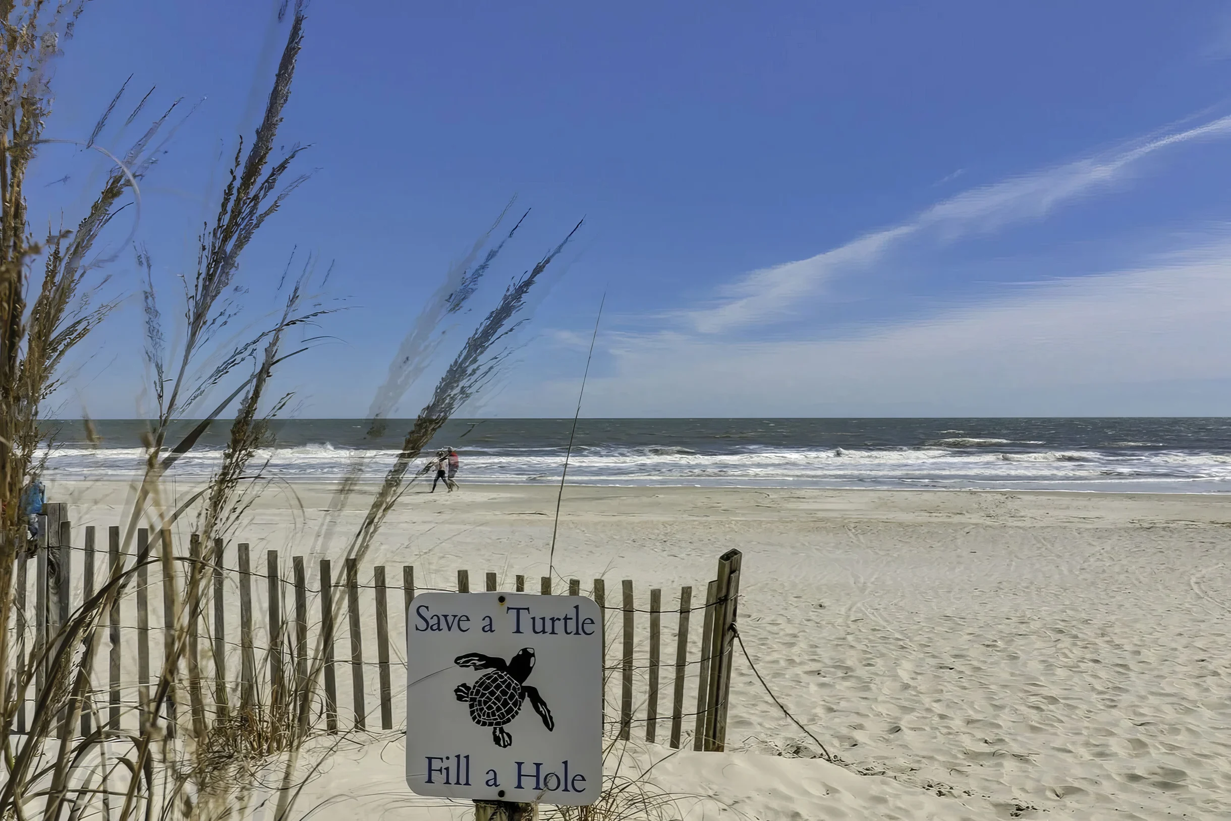 Wander Hilton Head Luna #28