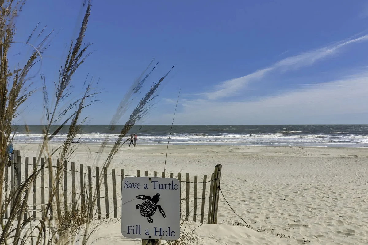 Wander Hilton Head Escape