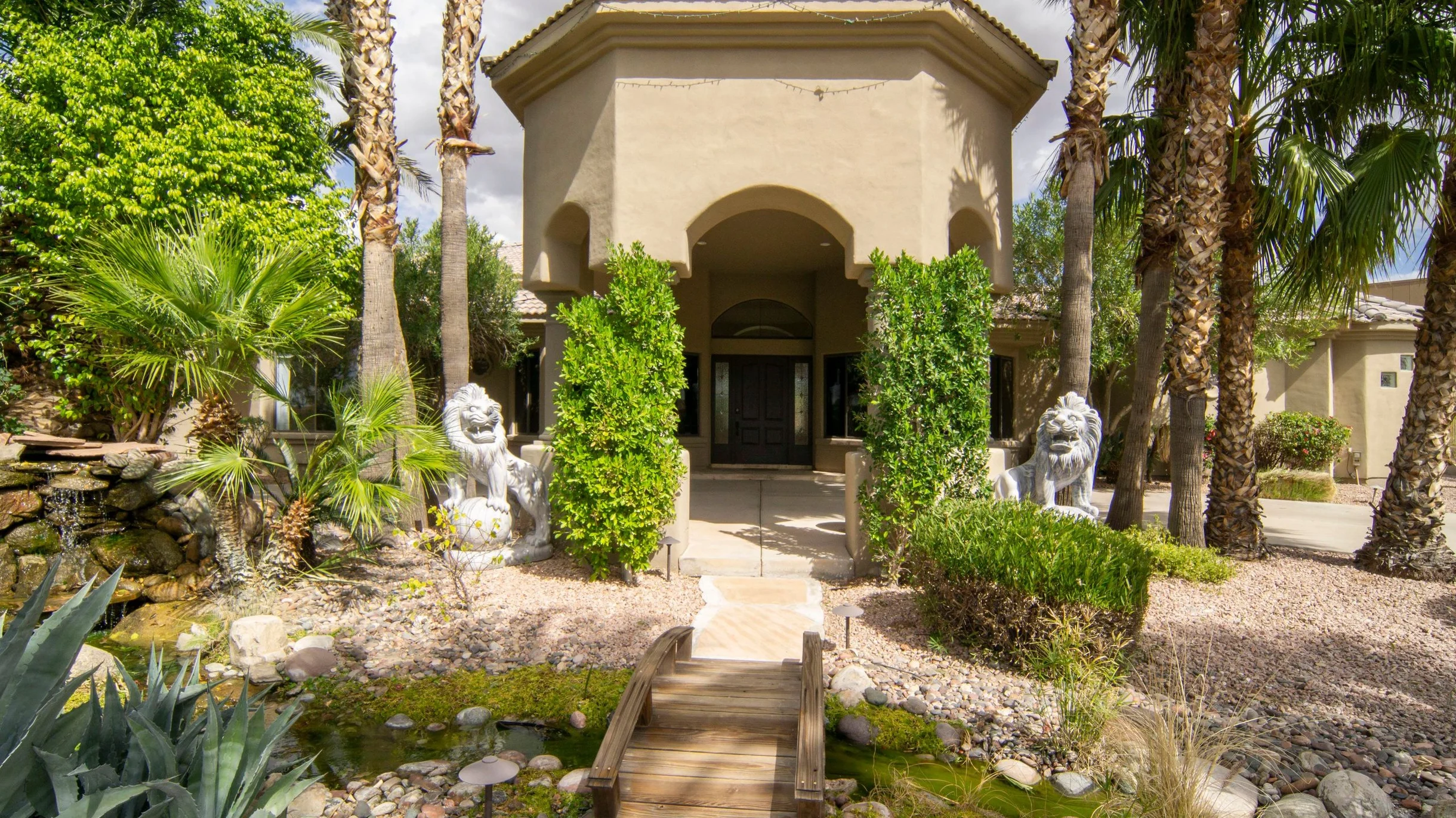 Wander North Scottsdale Desert #5