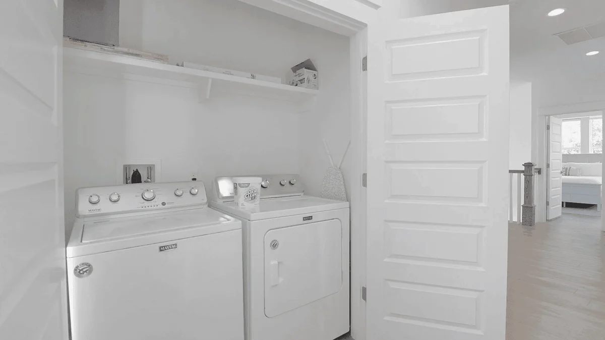 Wander Emerald Coast Bloom #6