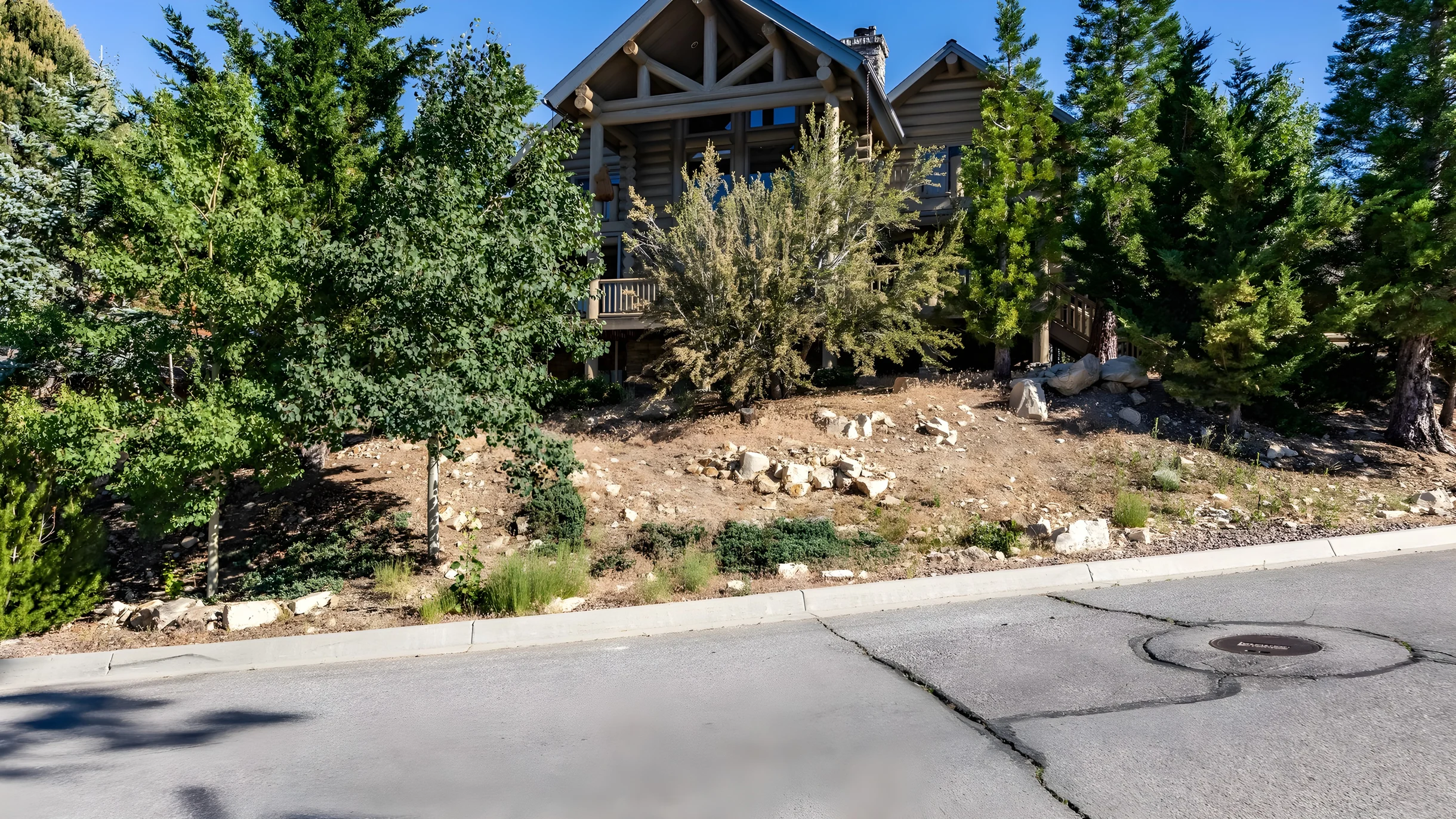 Wander Big Bear Eagles #34