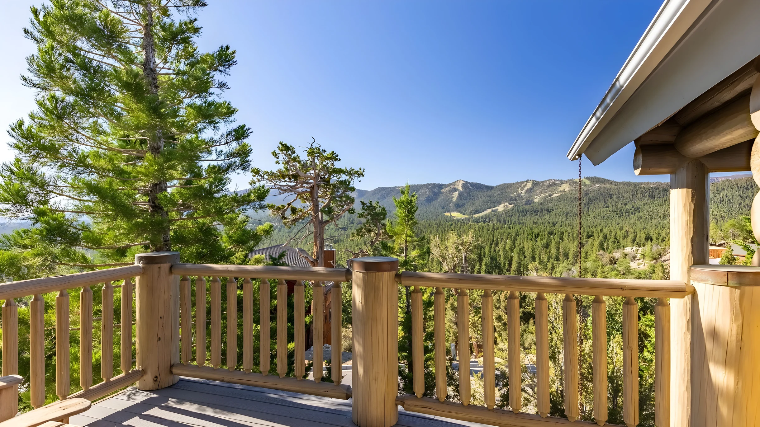 Wander Big Bear Eagles #48