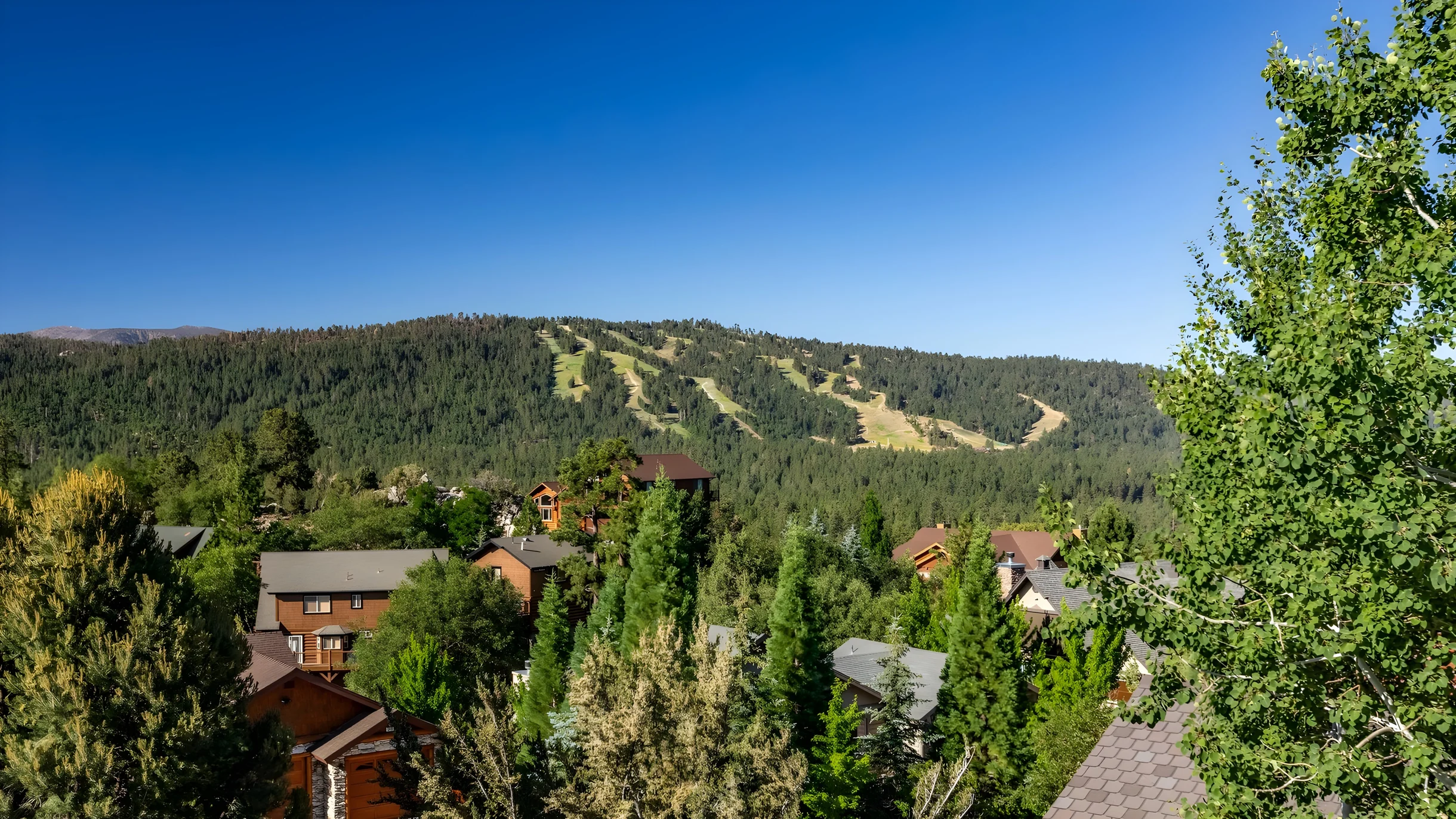 Wander Big Bear Eagles #3