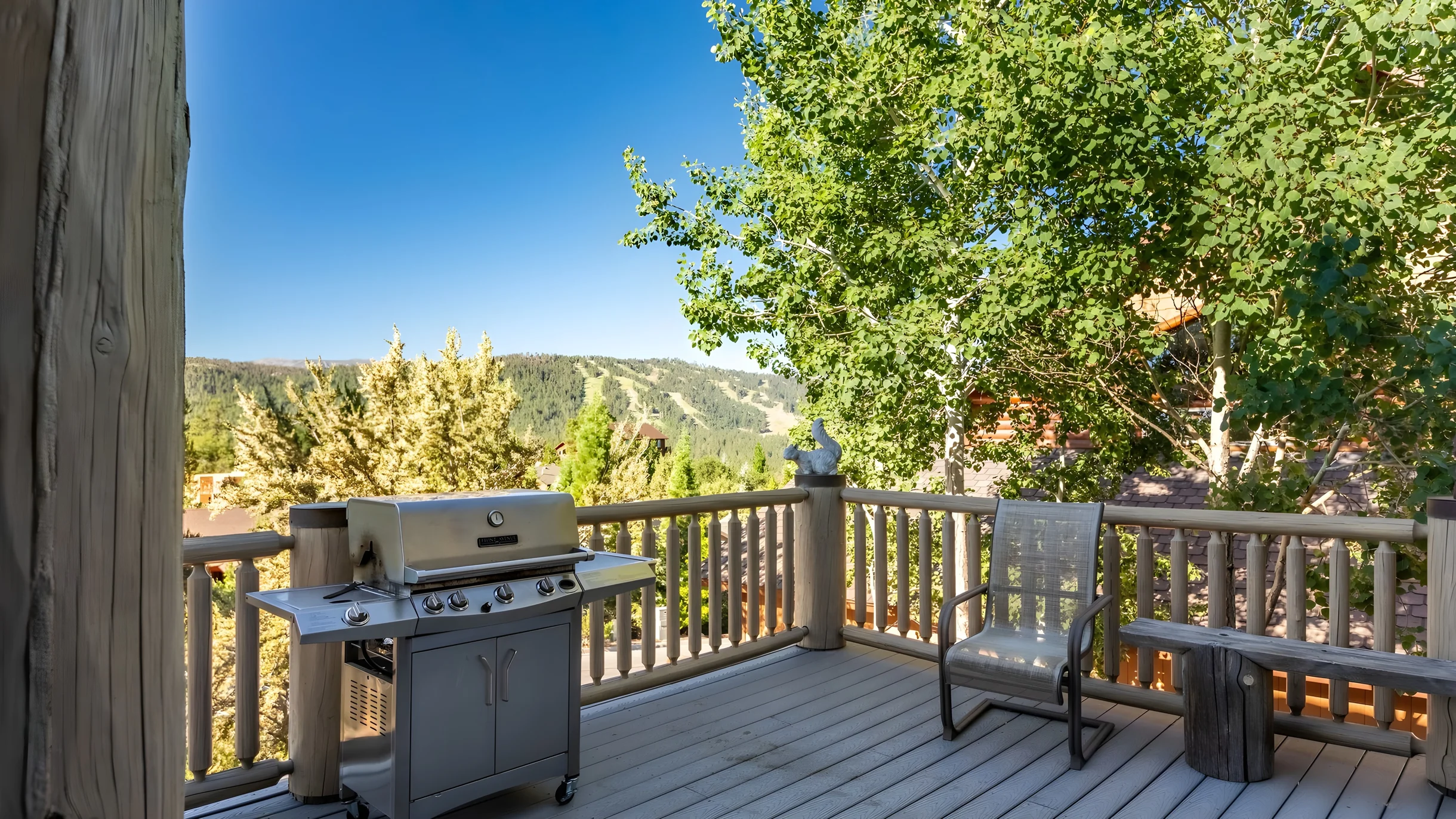 Wander Big Bear Eagles #26