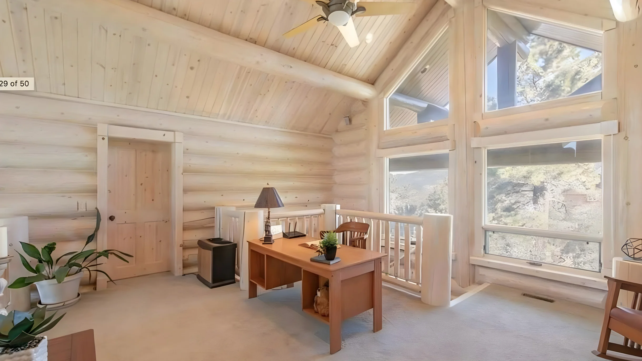 Wander Big Bear Eagles #29