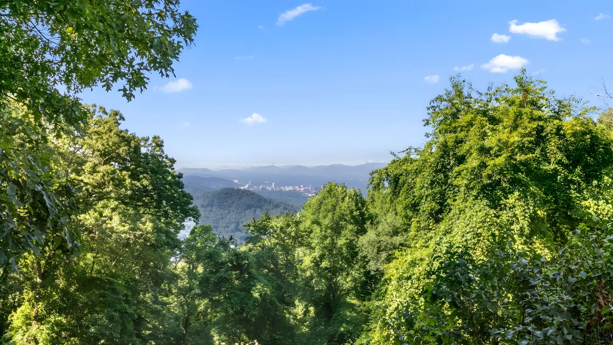 Wander Elk Mountain Retreat