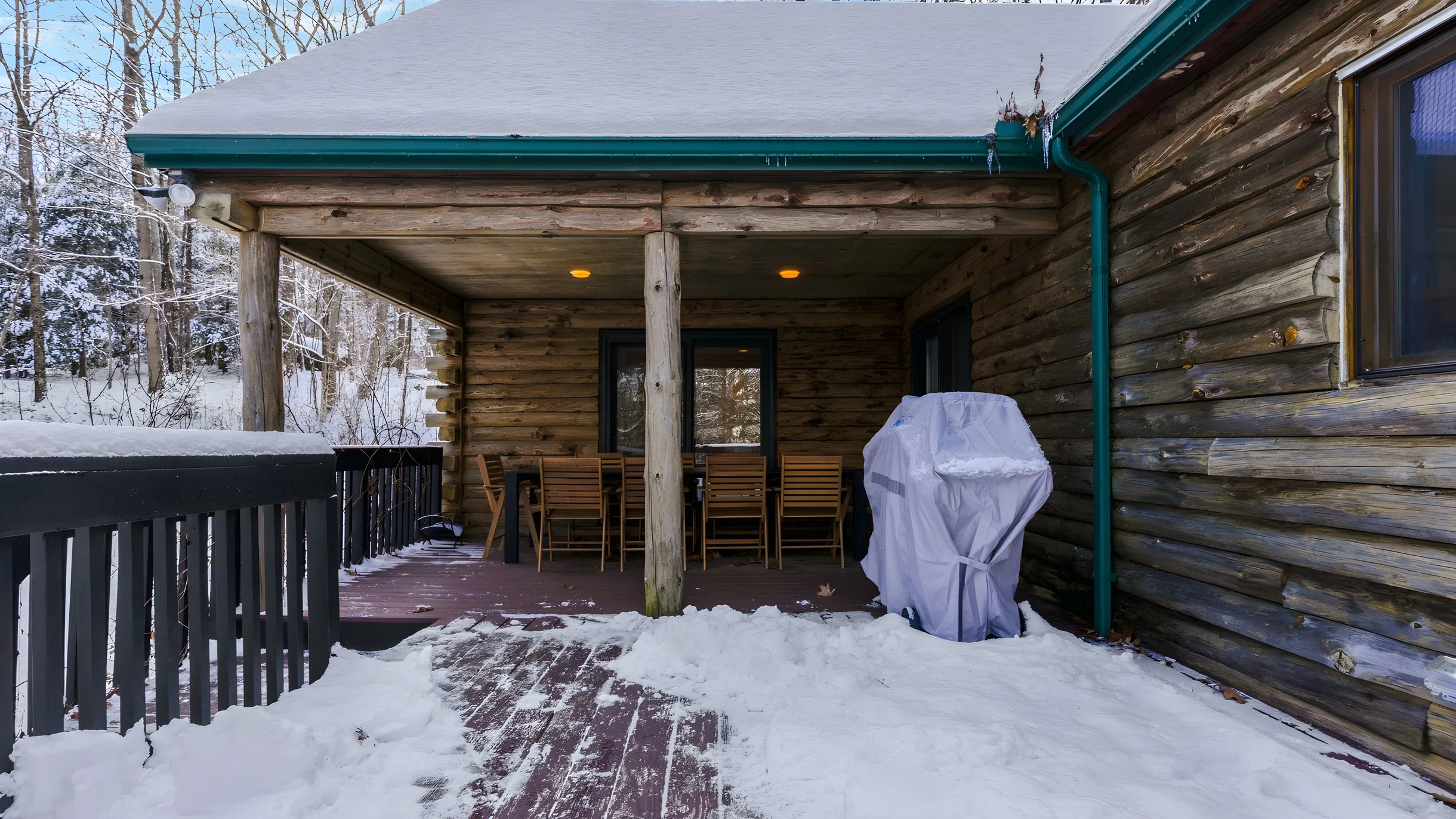 Wander Great Barrington Woods #32